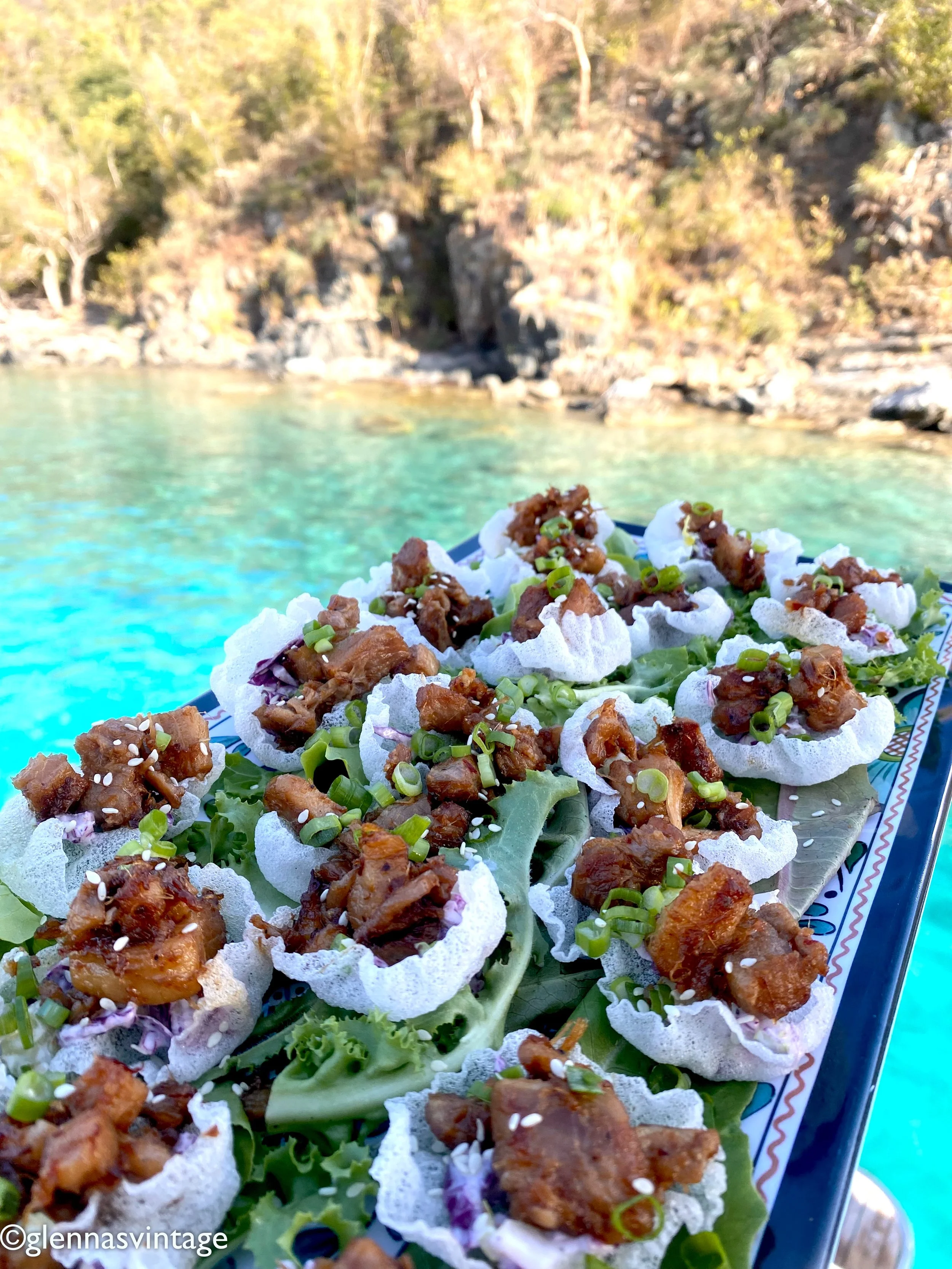 Flying pigs pl copy.jpg