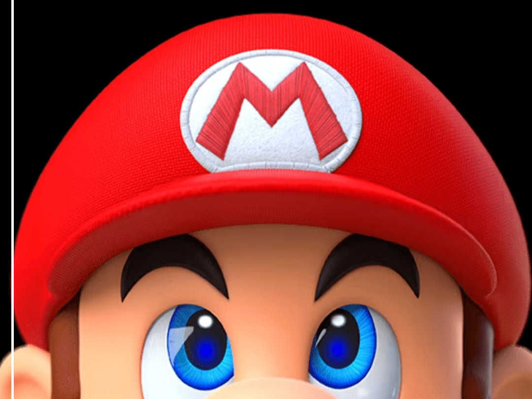 Nintendo Brand Book