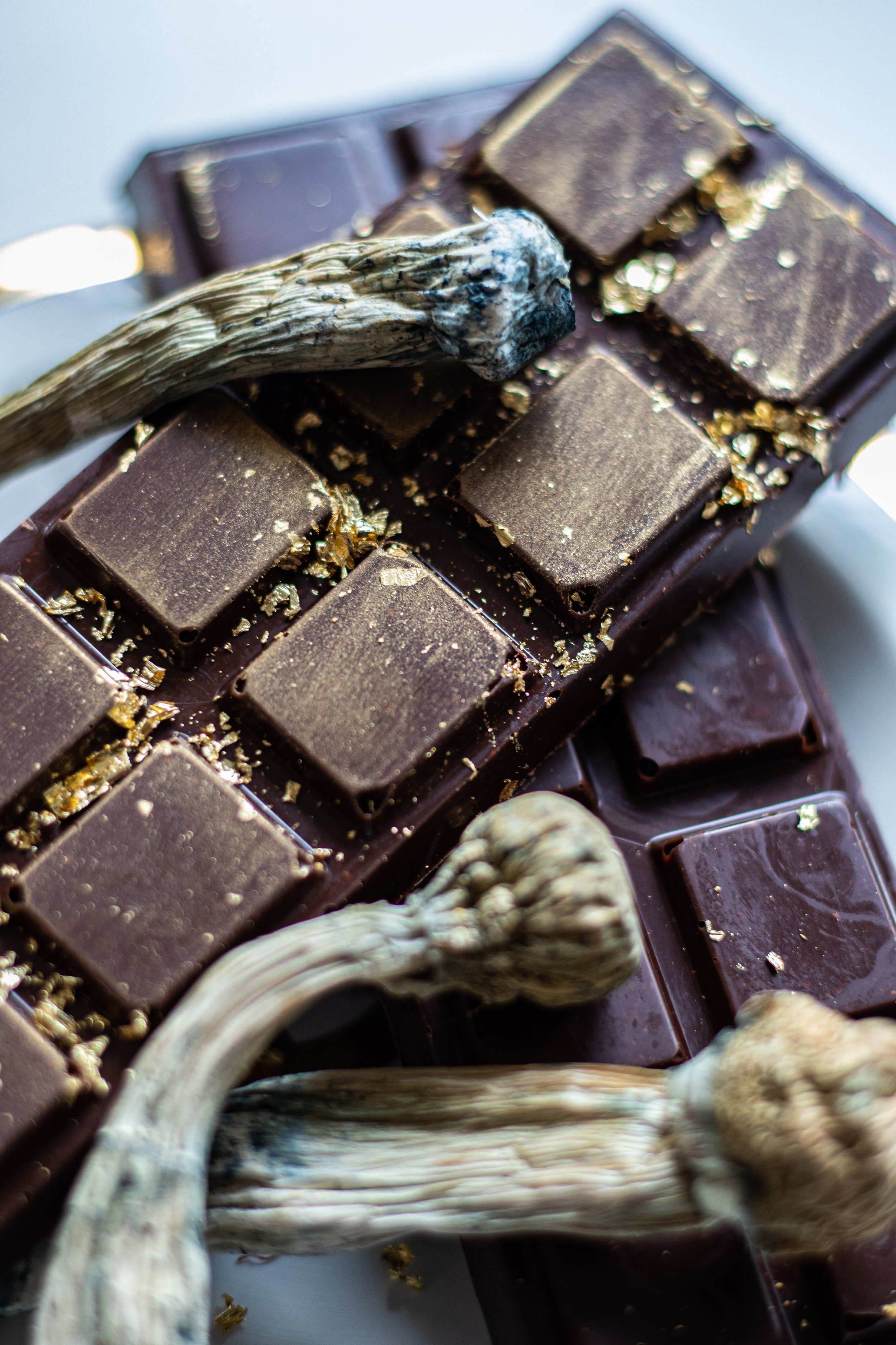 Our magic mushrooms edibles made with chocolate and penis envy shrooms. Buy magic mushrooms in Toronto, Ontario, now for a trippy psychedelic experience. This psilocybin cubensis is one of the best.