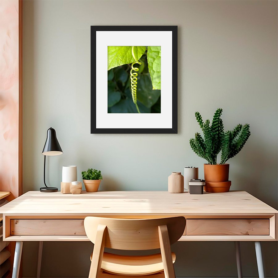 15. 16x20 frame for 11x14_Curly.jpg