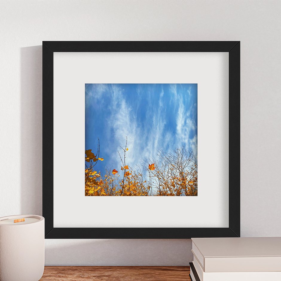 front 15 - black square_12x12_Racing Sky_FINAL.jpg