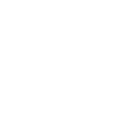 world delivery icon