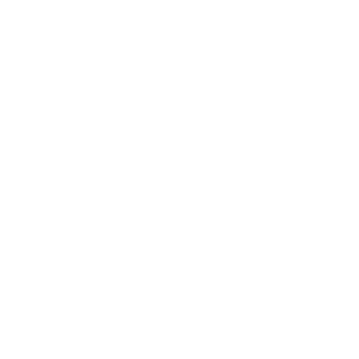 airplane icon