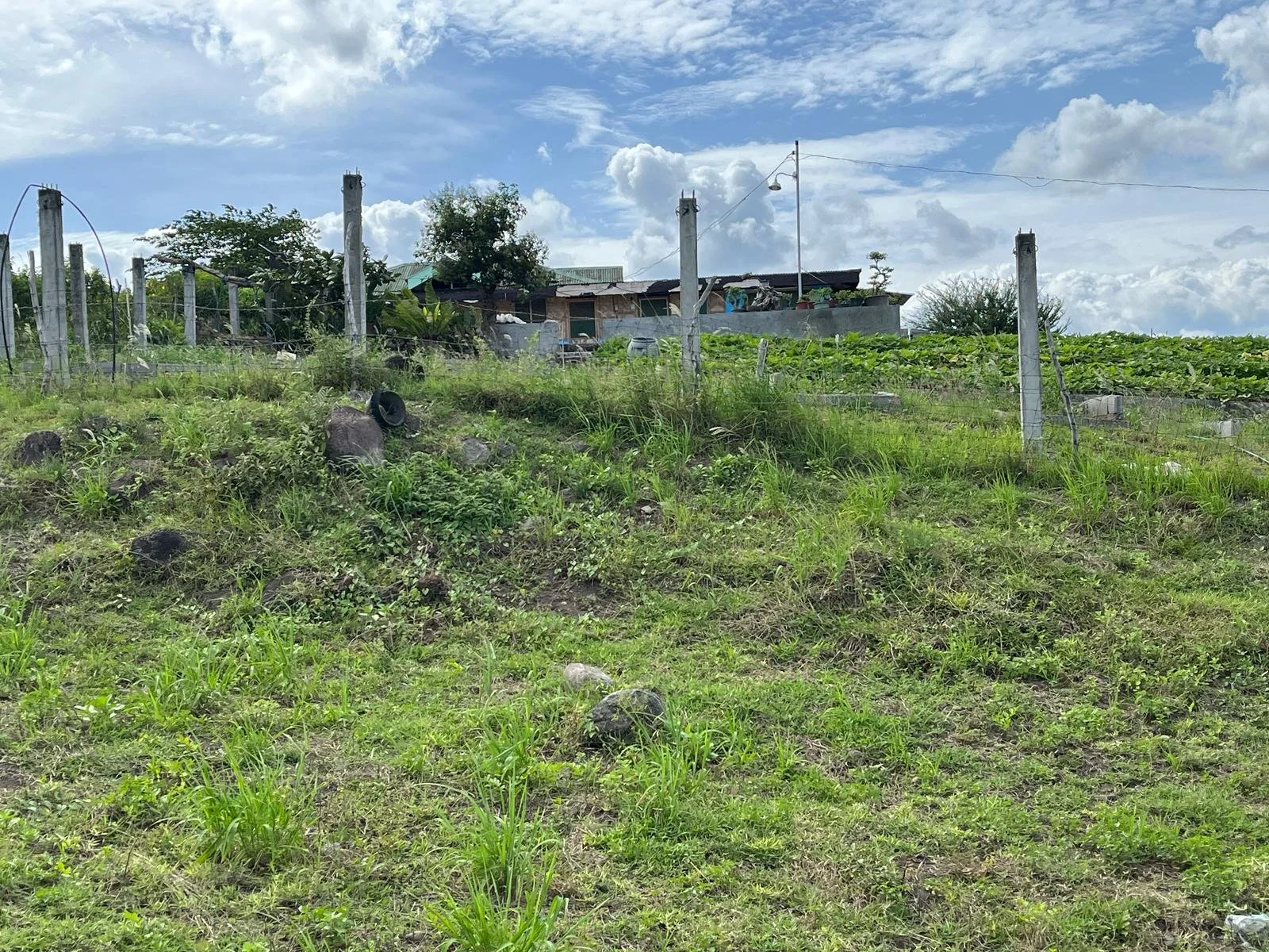 WhatsApp Image 2025-03-09 at 04.29.16 (1).jpeg