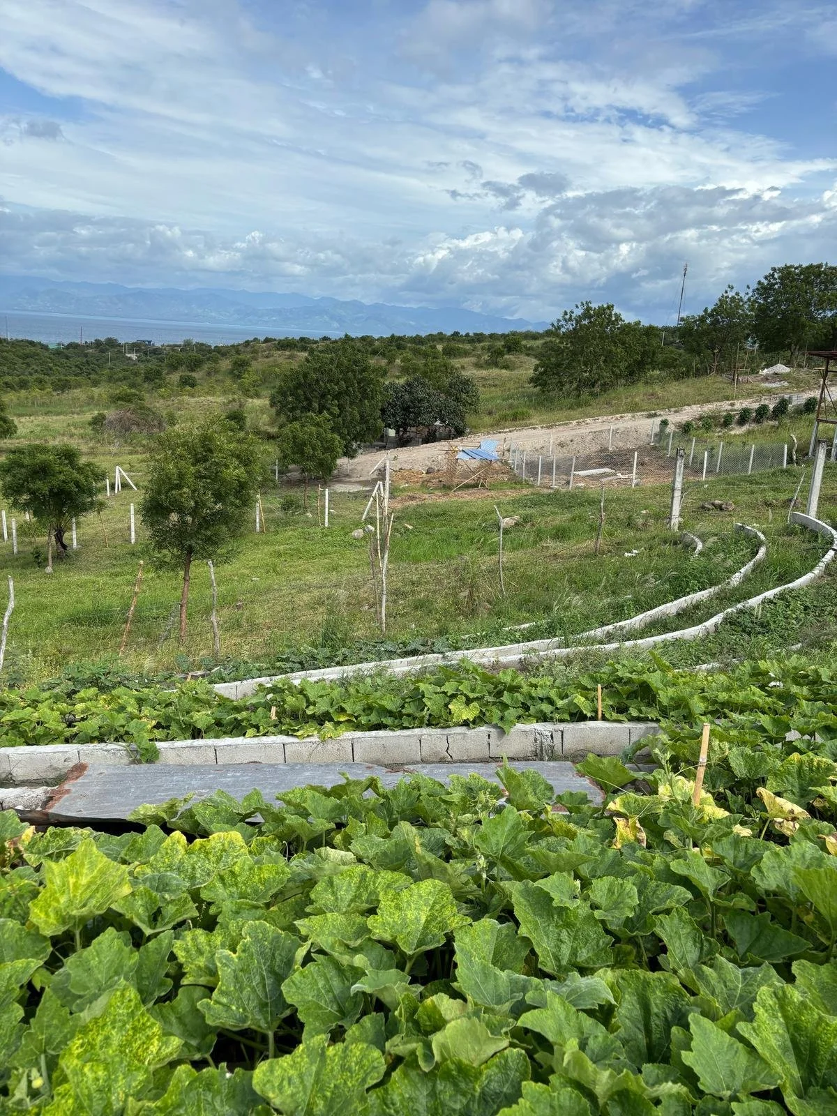 WhatsApp Image 2025-03-09 at 04.29.17.jpeg