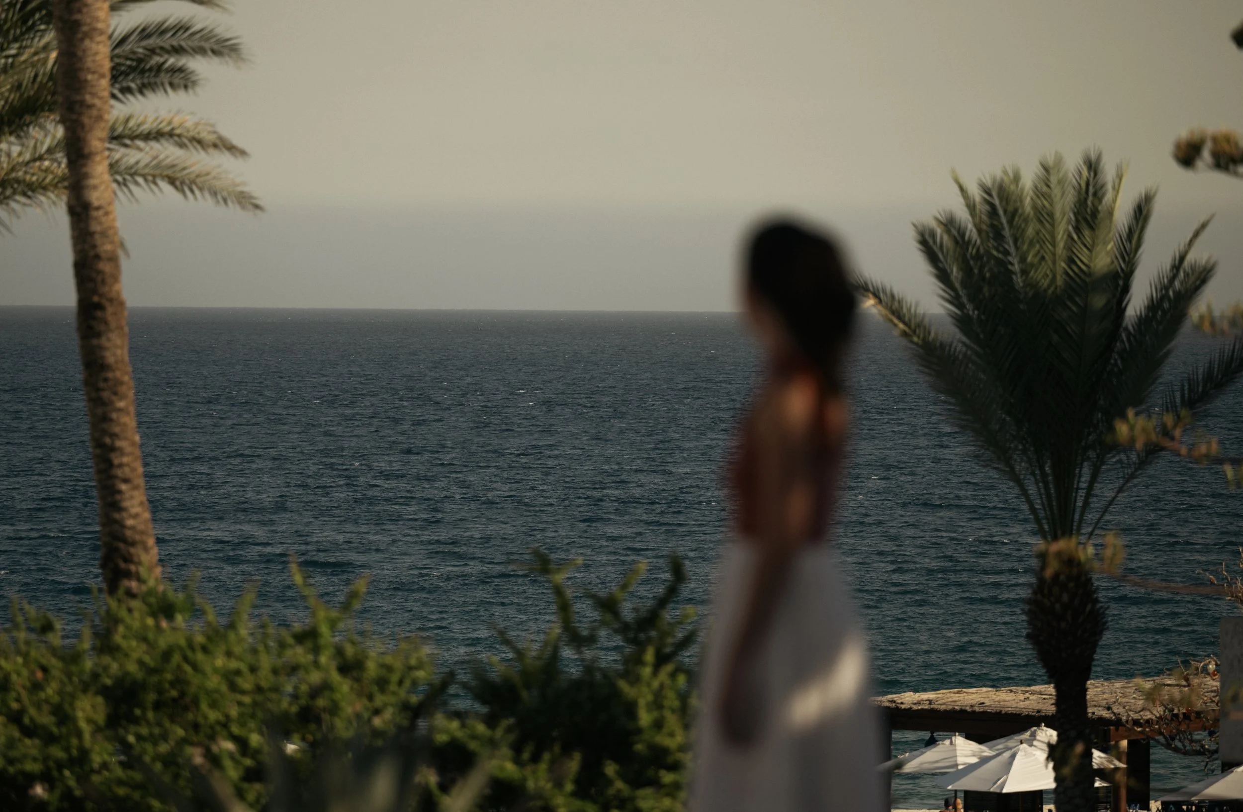 Las-Ventanas-8-2.jpg