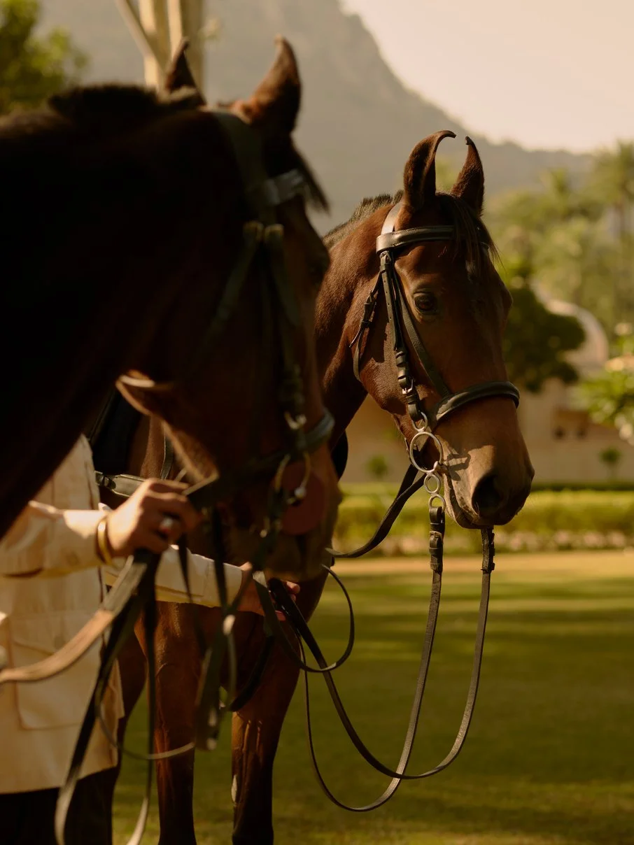 Amanbagh-Amansanti-Jockey_0.jpg