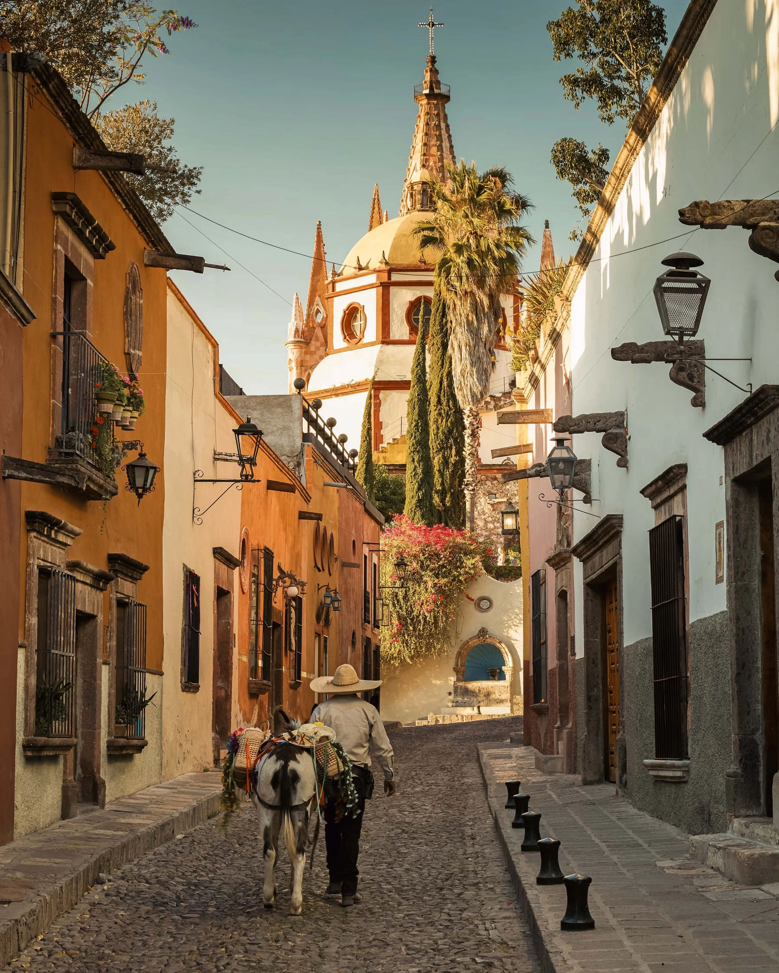 csn-lei-mexico-san-miguel-de-allende02.jpg.jpg