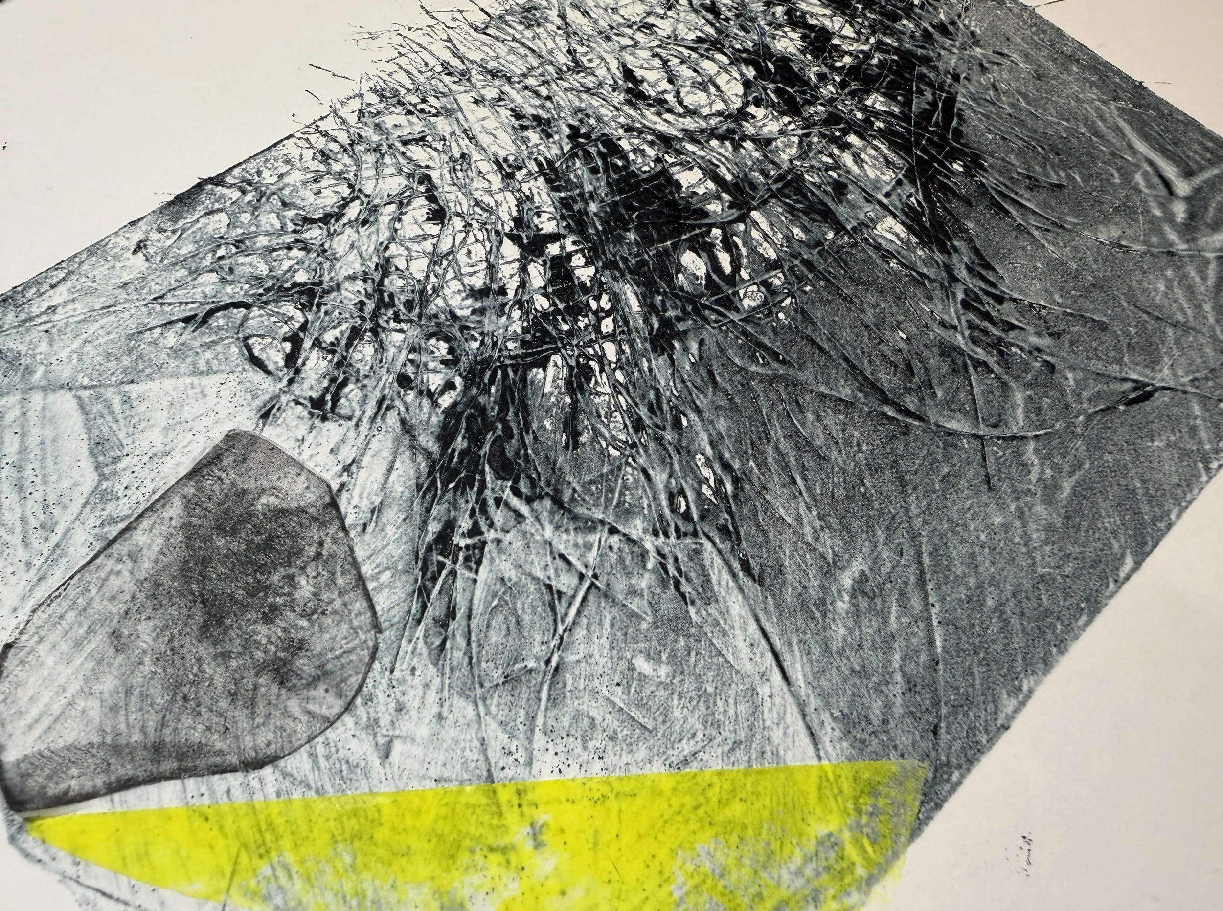 Intaglio Printing with Collagraph Plates (2 Days)