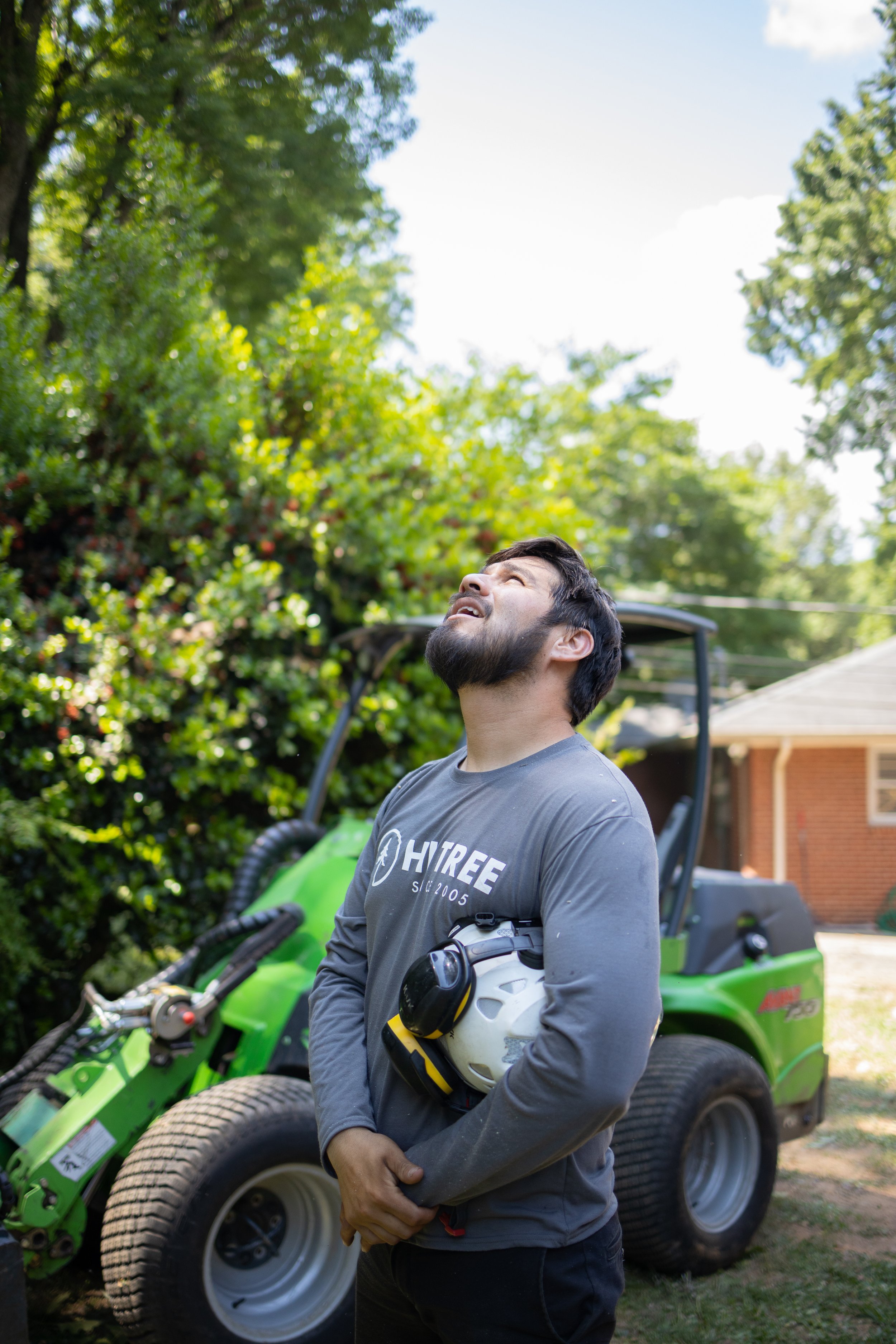 Tree Trimming & Removal Services Charlotte NC | Hi Tree Services