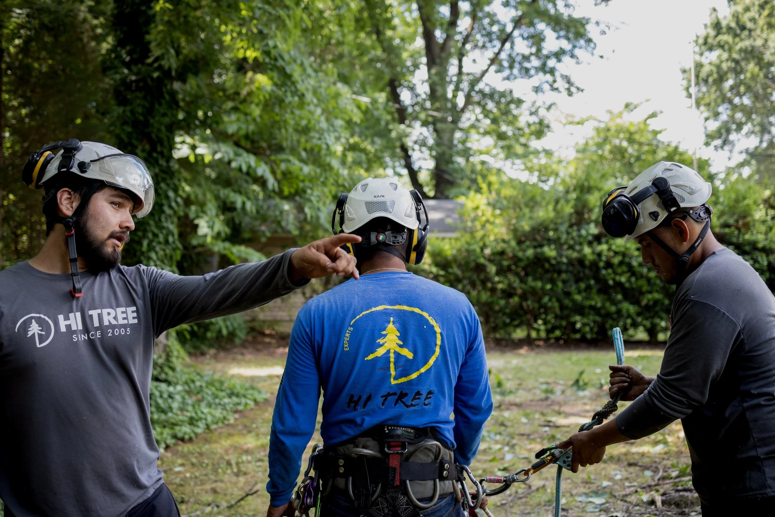 Tree Risk Assessment Services in Concord, North Carolina