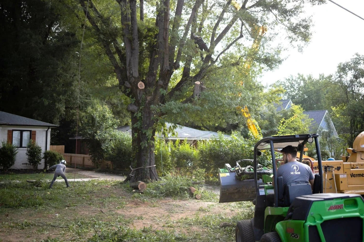 Tree Trimming & Removal Services Charlotte NC | Hi Tree Services