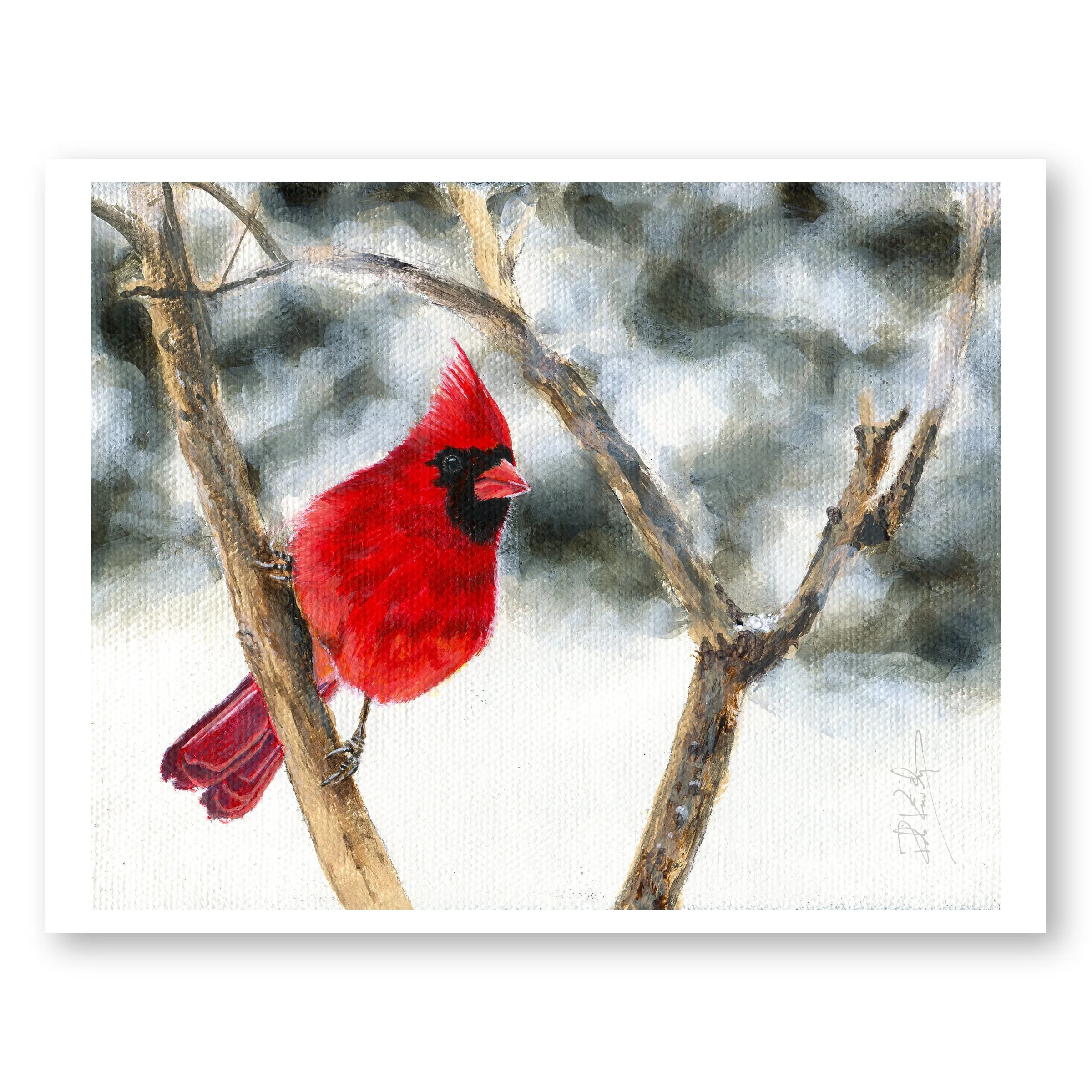 Cardinal 8x10 web.jpg