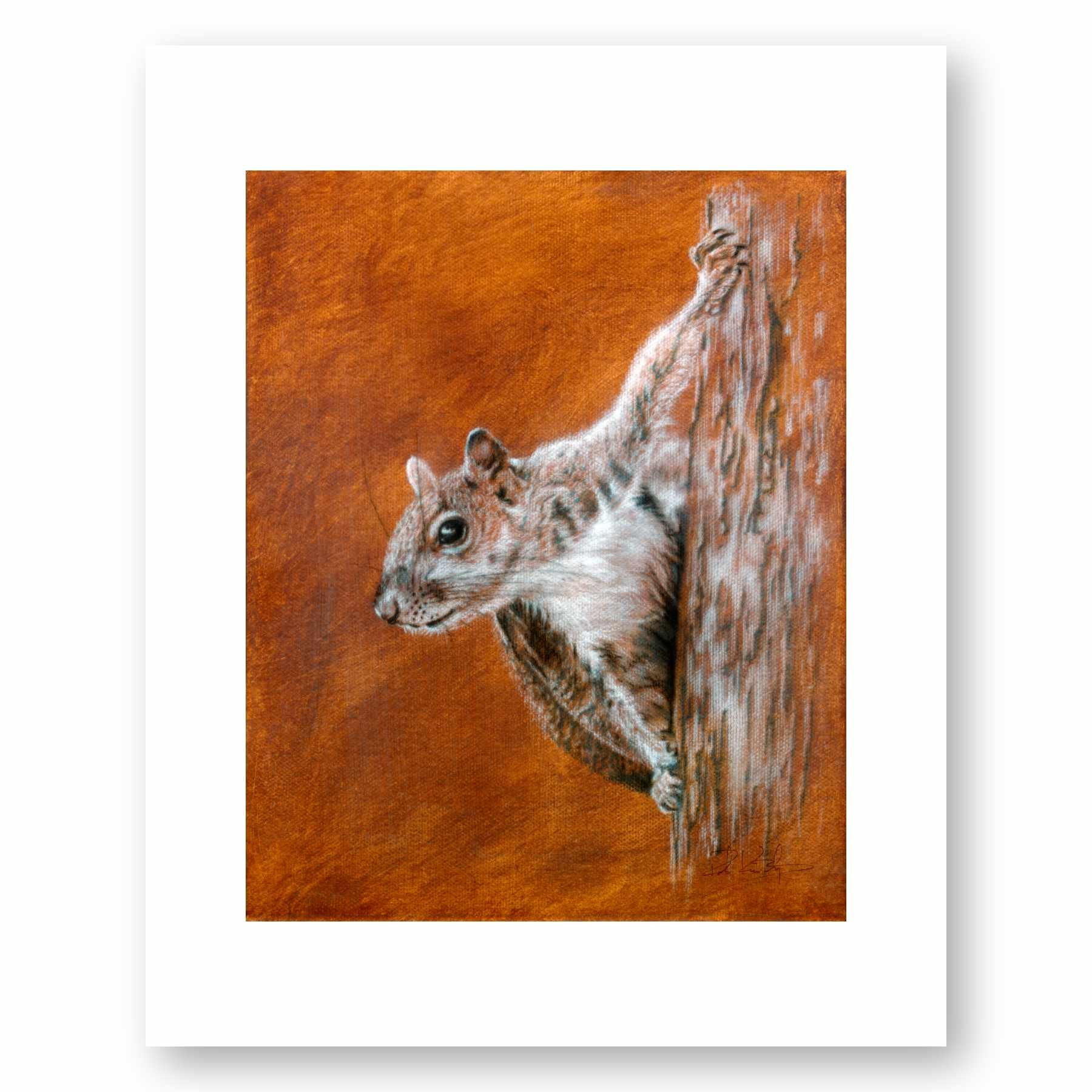 Squirrel I 6x75 web.jpg