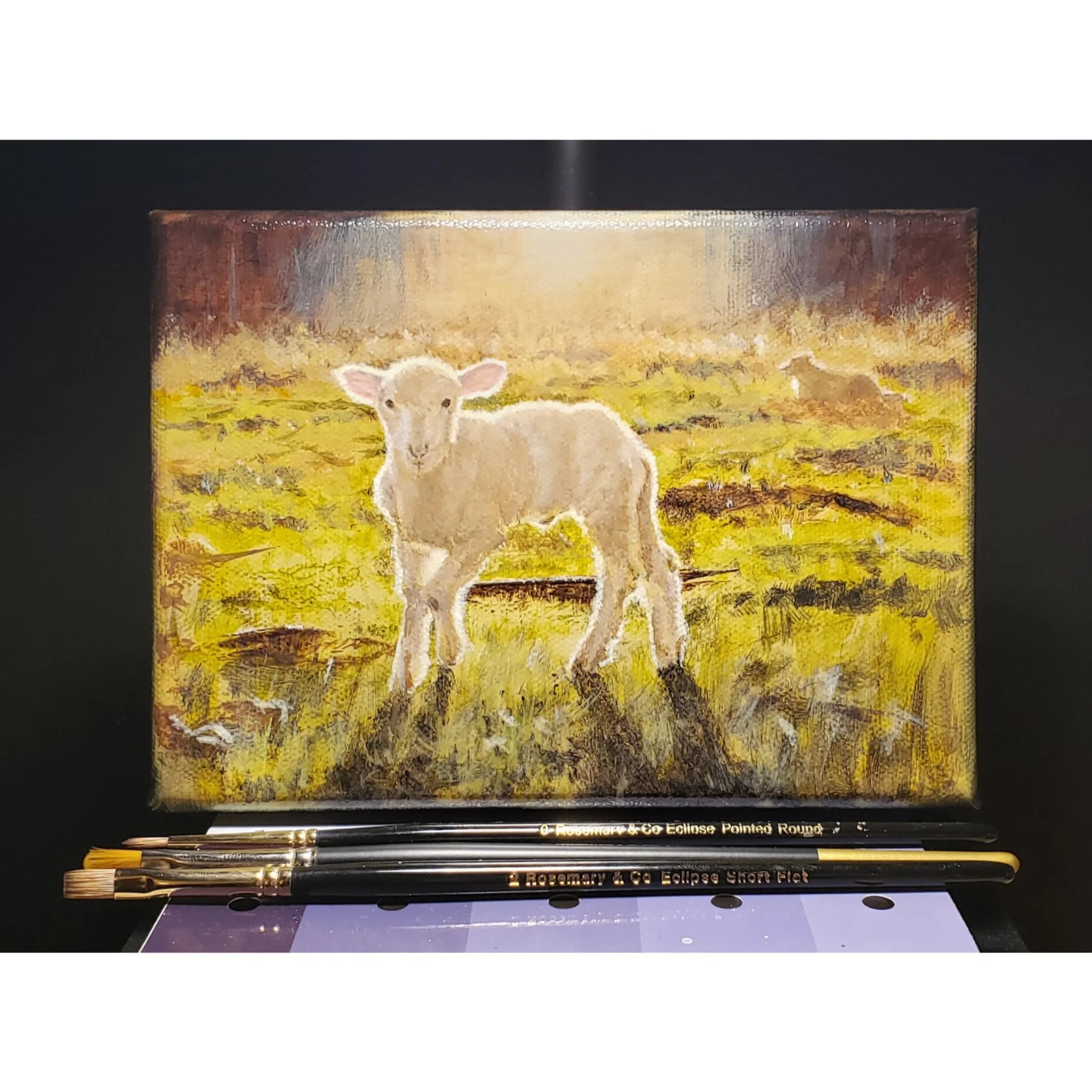 Lamb with Protector original web.jpg