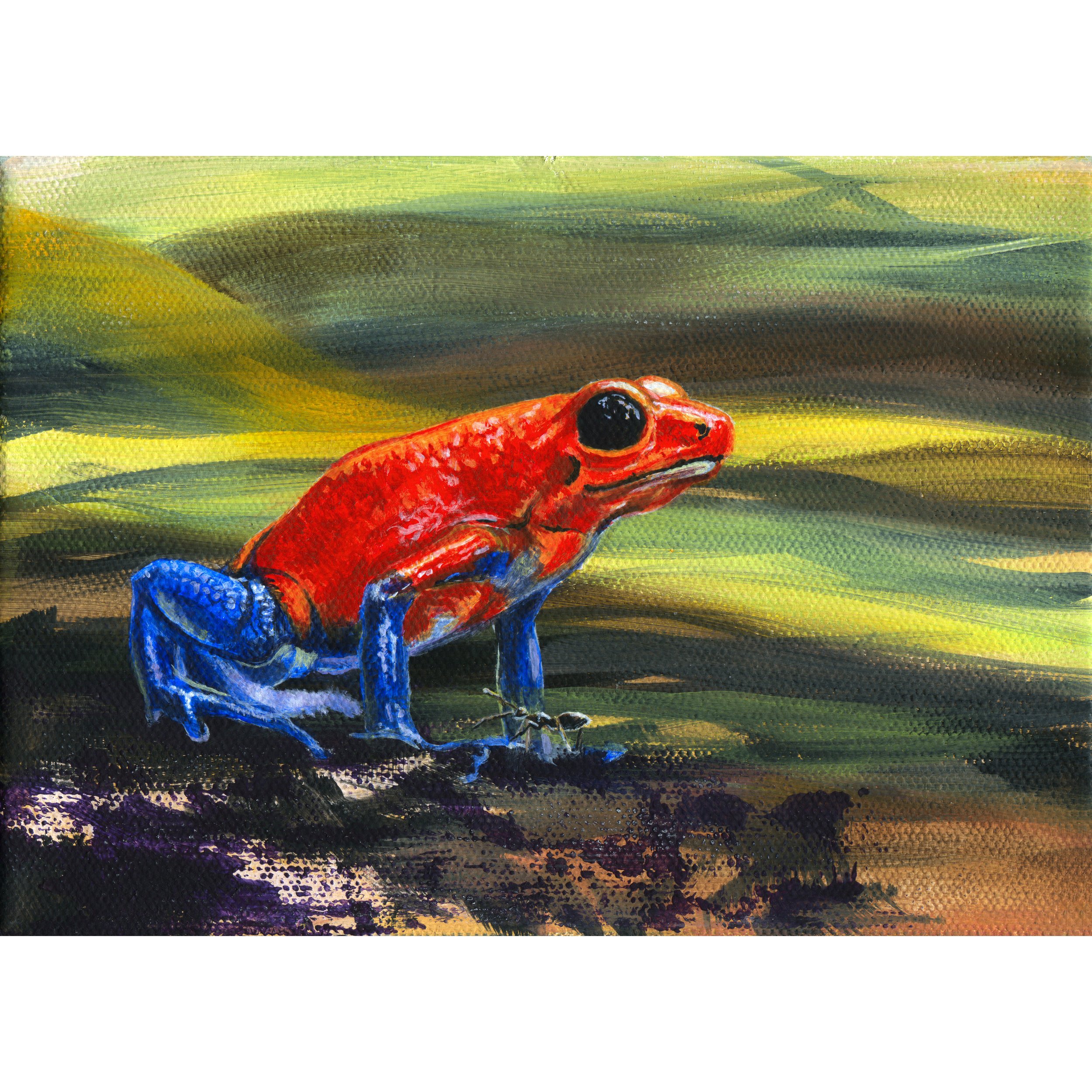 Super Frog and Ant Dude