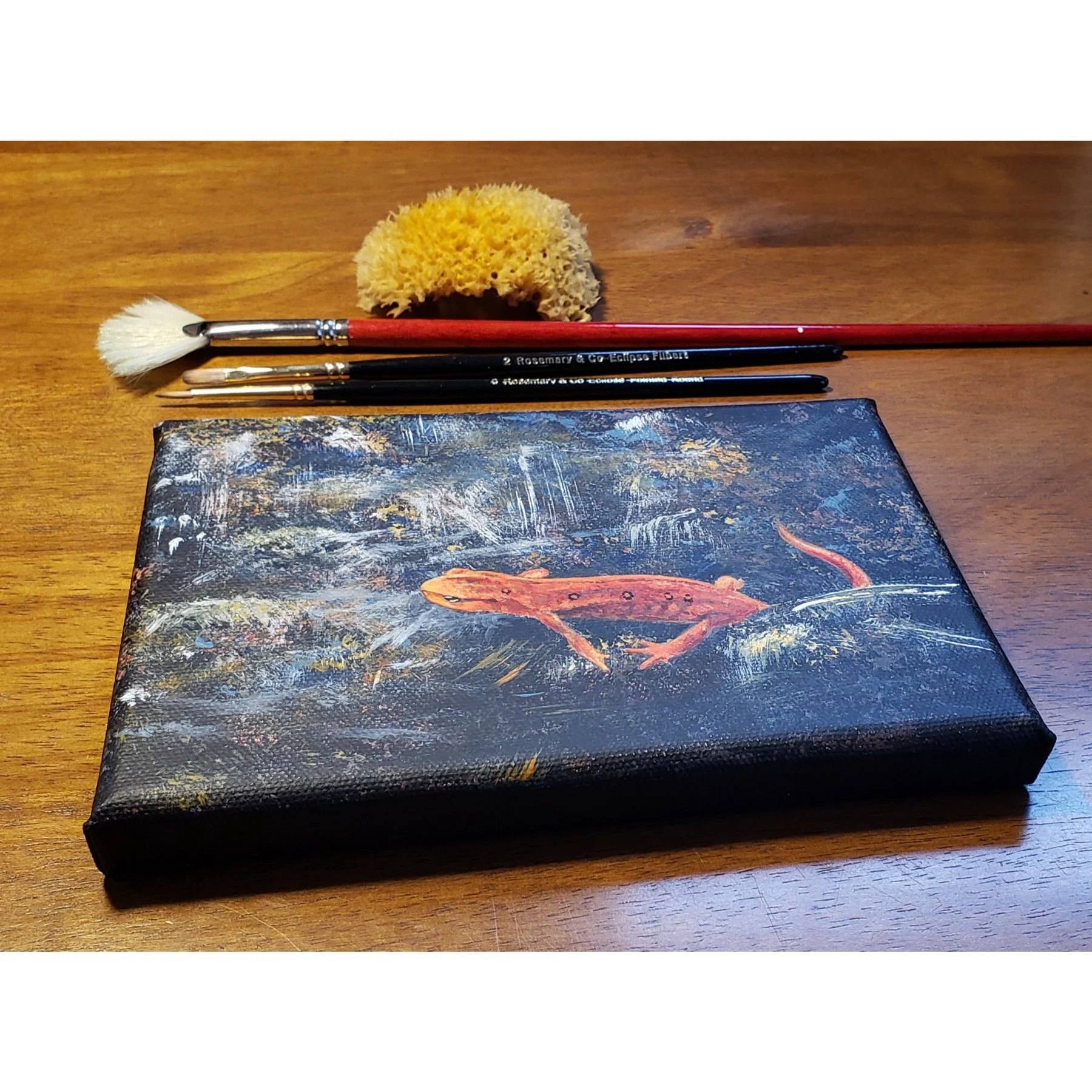 Eastern Newt Original web.jpg