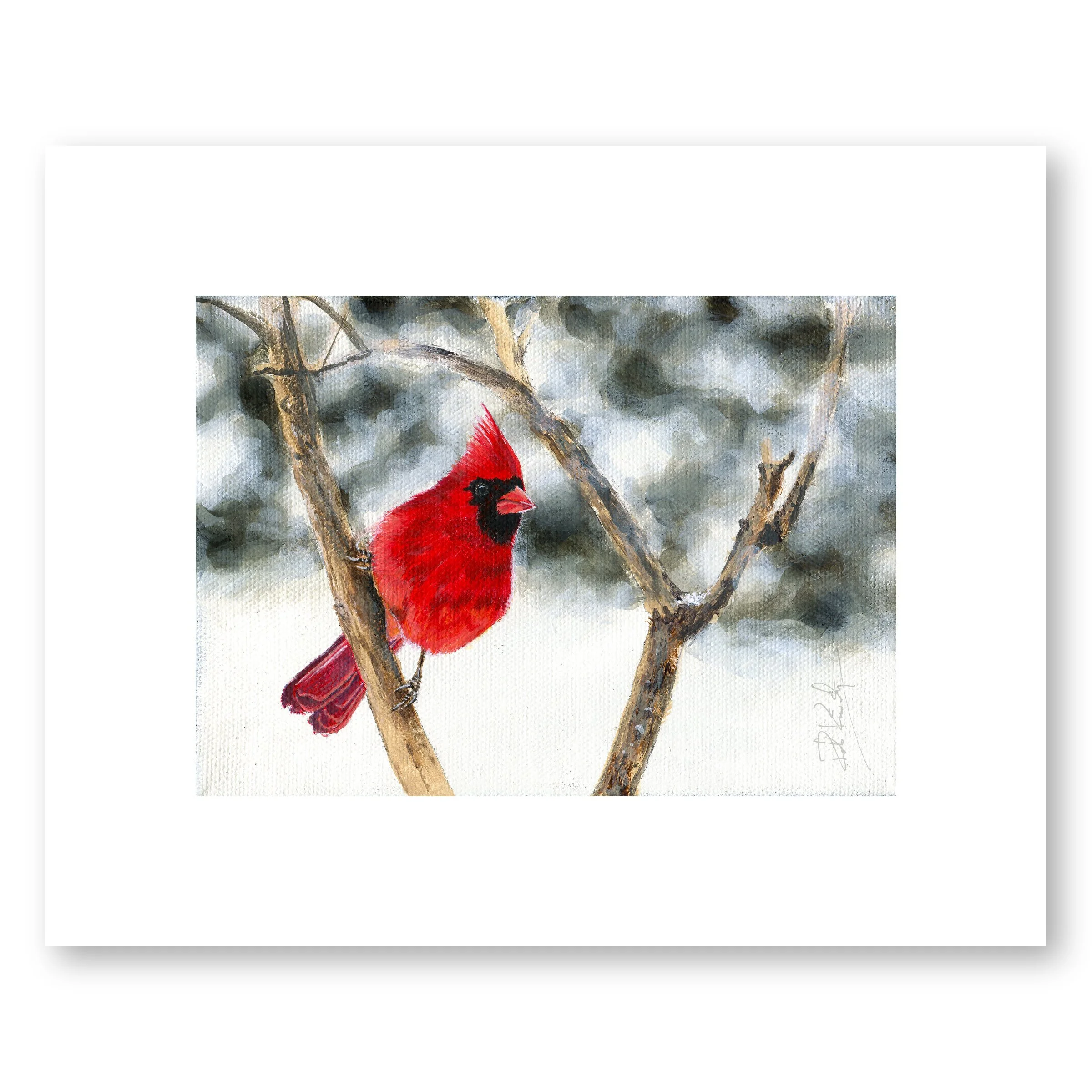 Cardinal 5x7 web.jpg