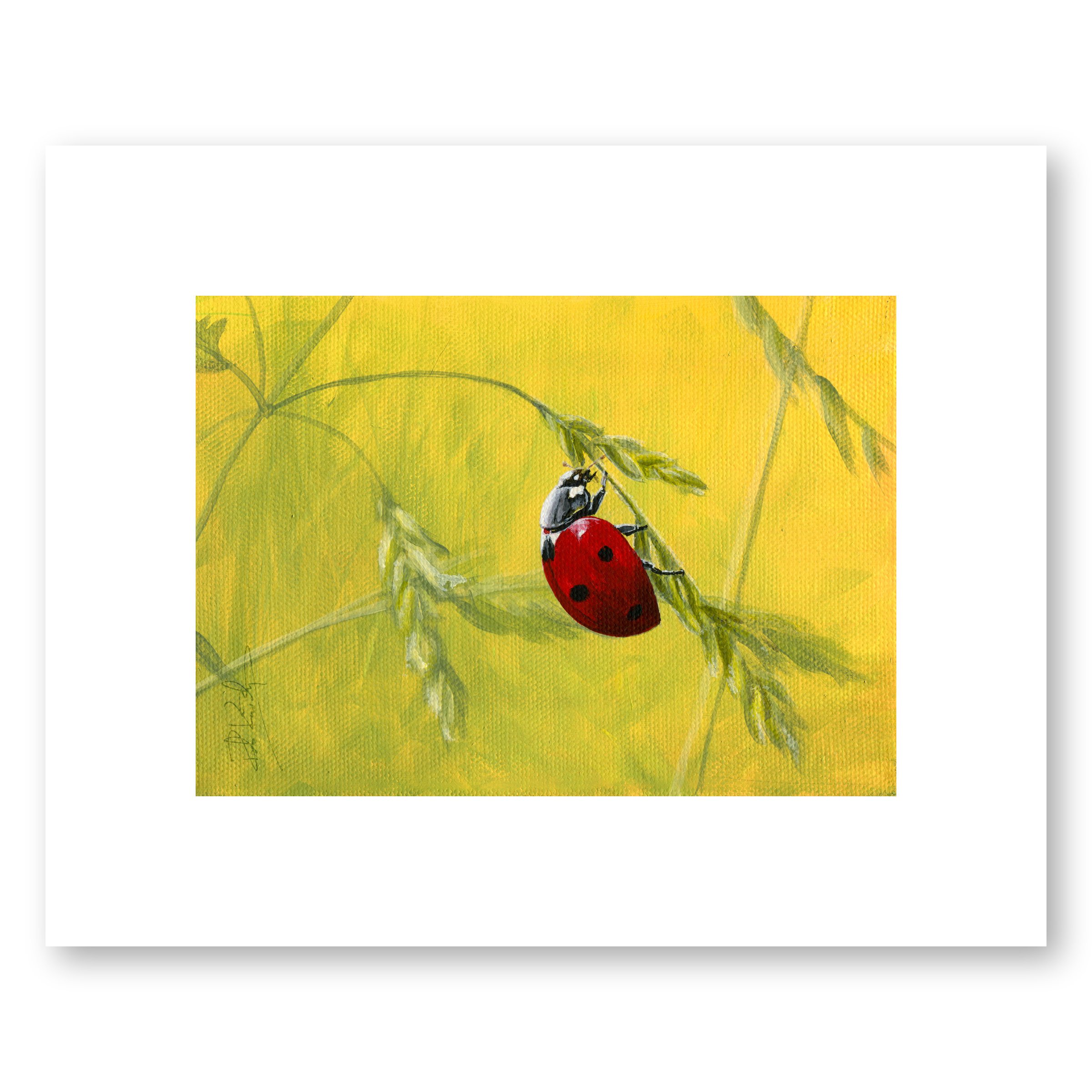 Ladybug 5x7 web.jpg