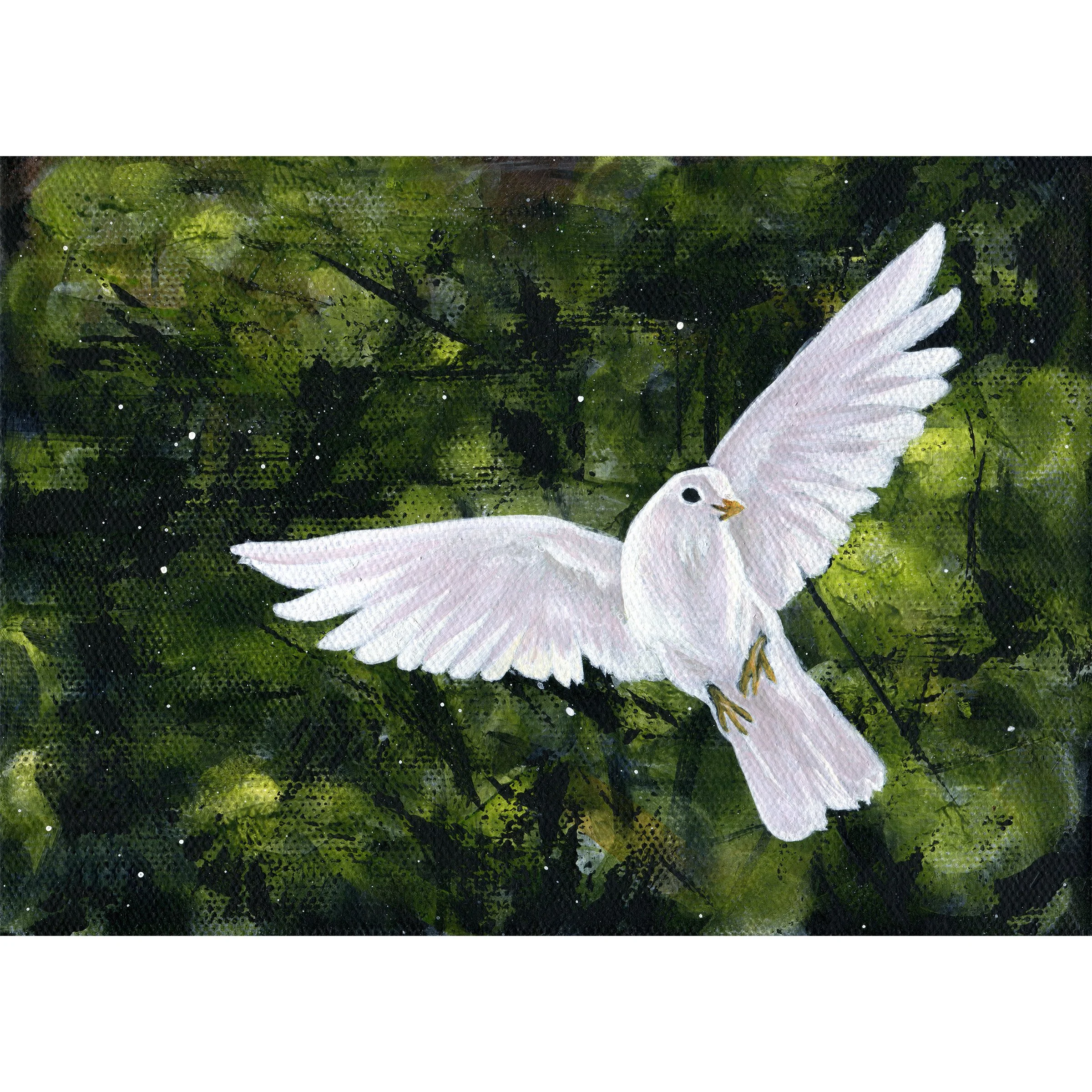 White Dove