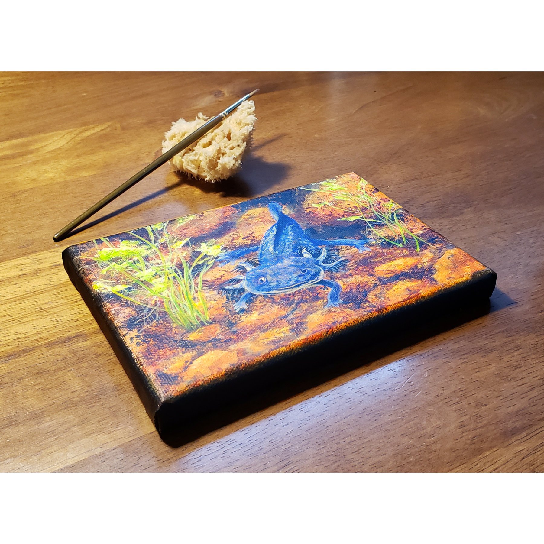 Axolotl original web.jpg