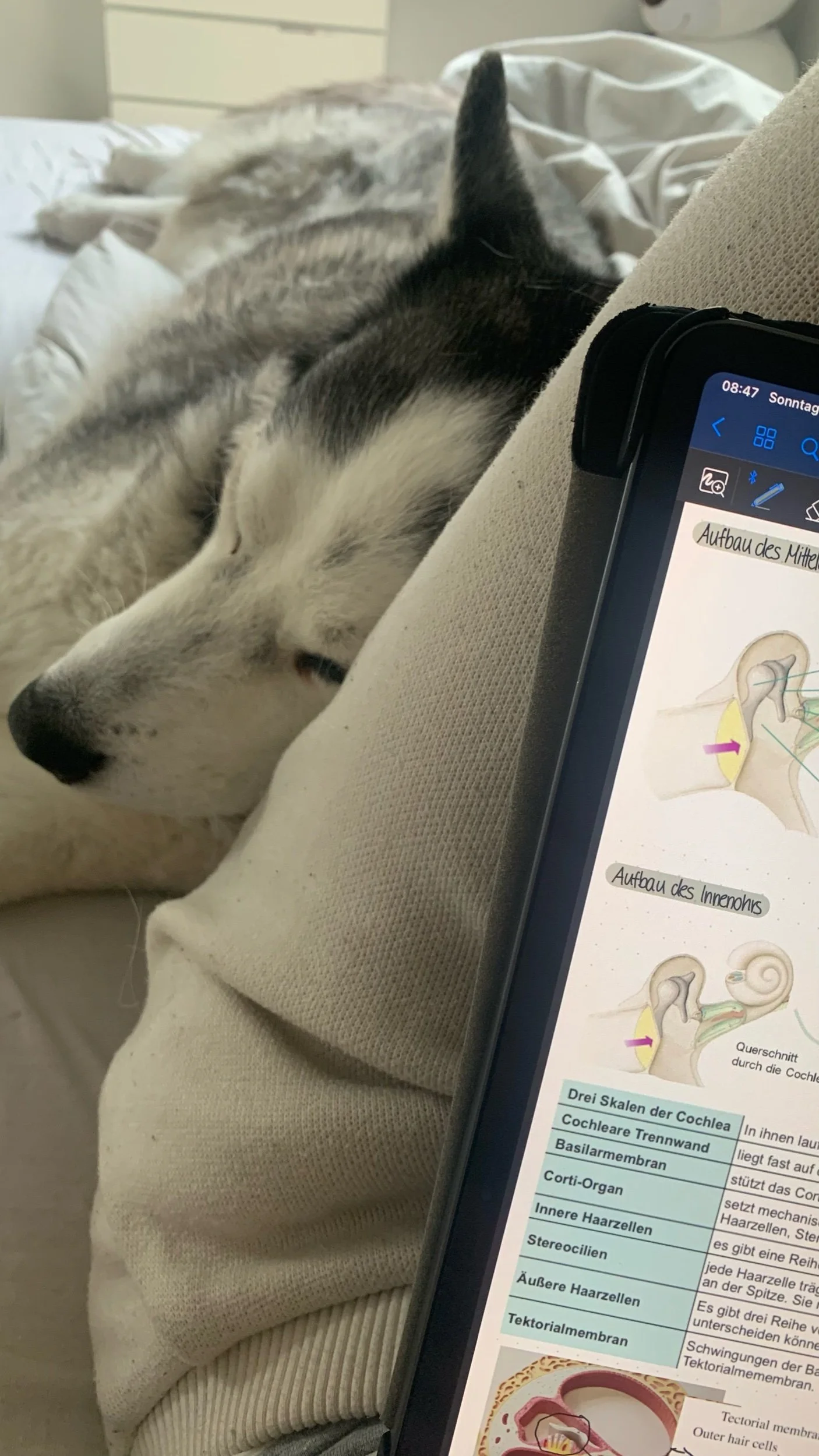 I forgot that I’m an artist