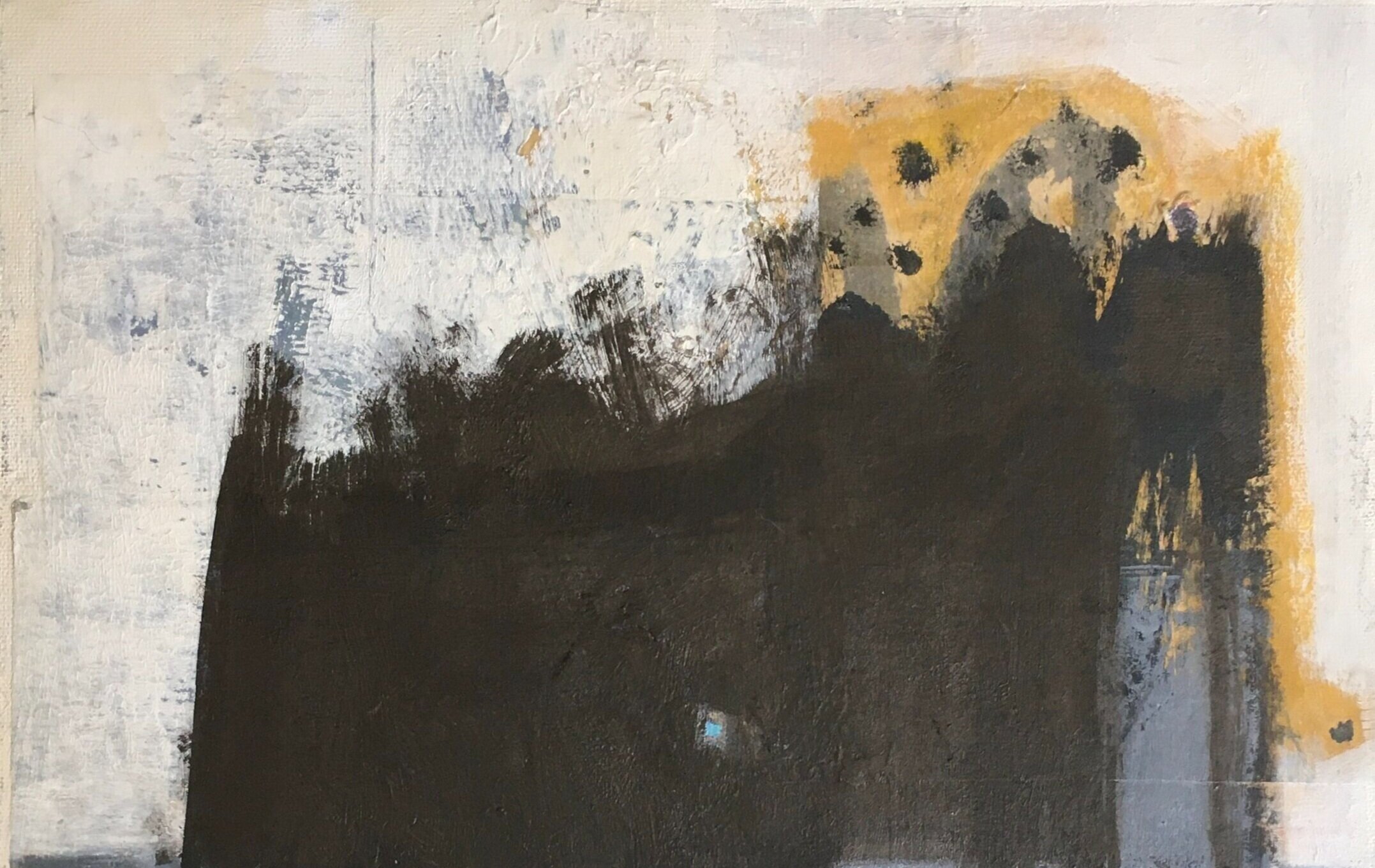 zoë cohen / contemporary art