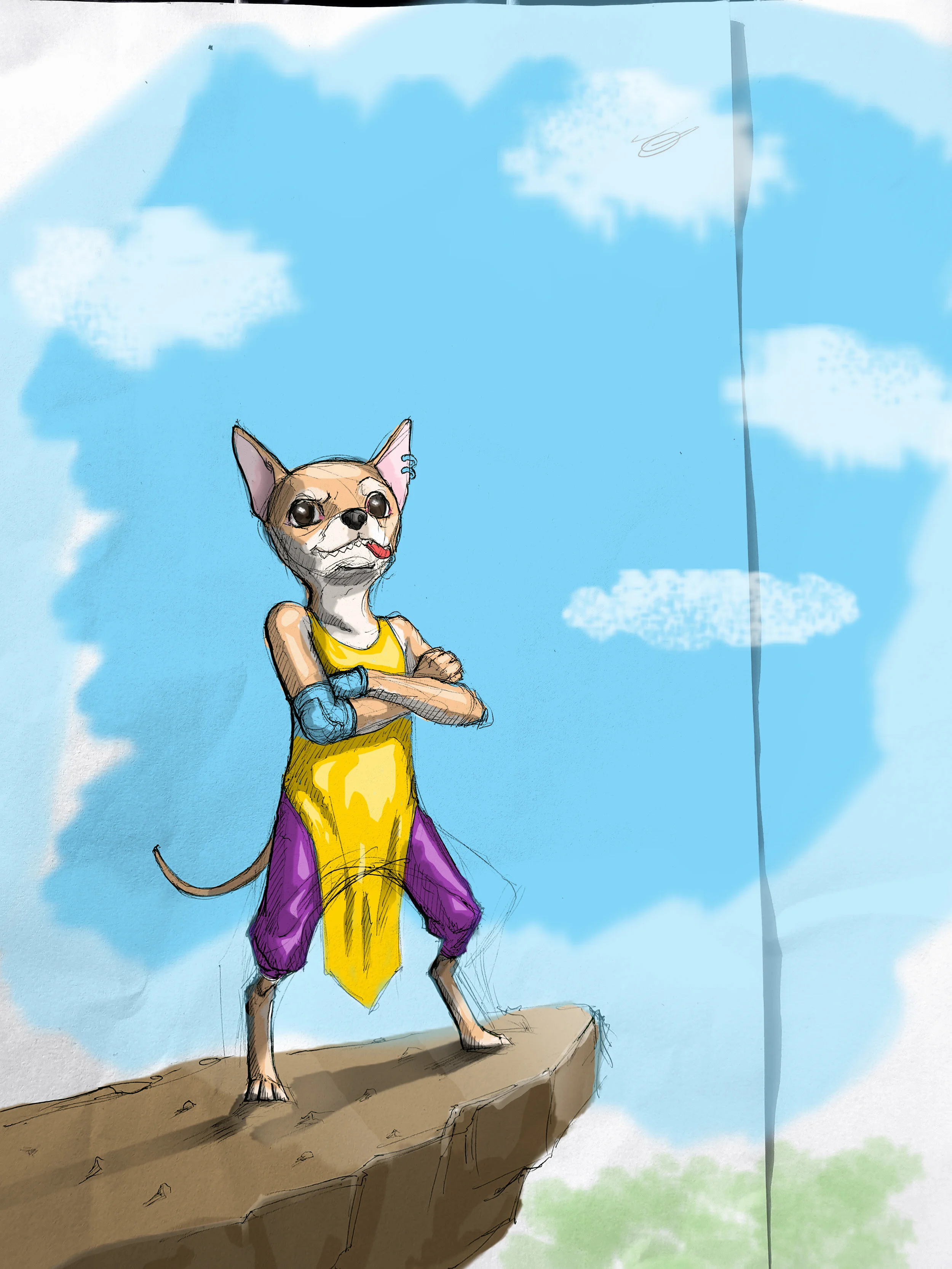 sketch chihuahua 2.jpg