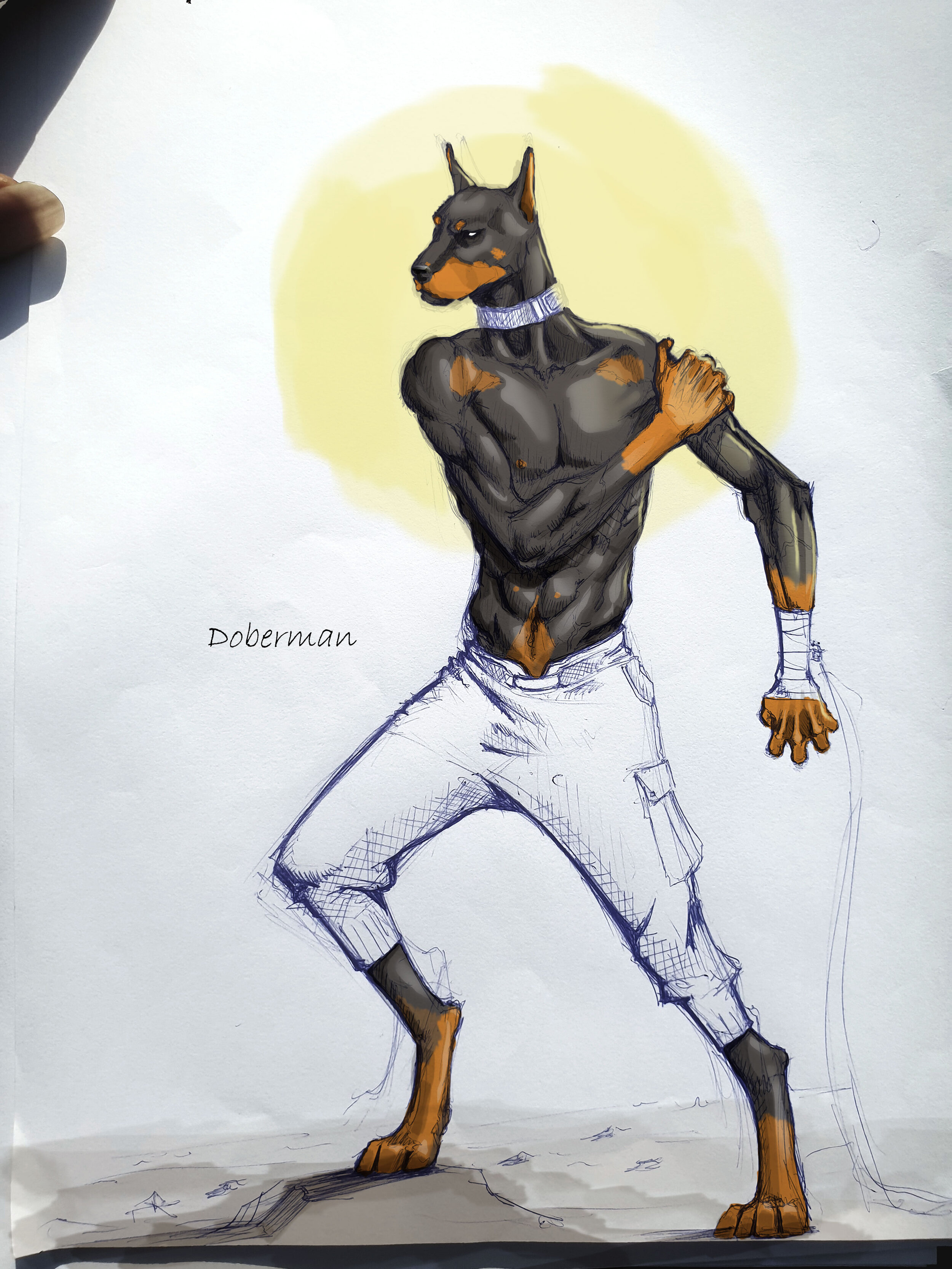 sketch-doberman.jpg