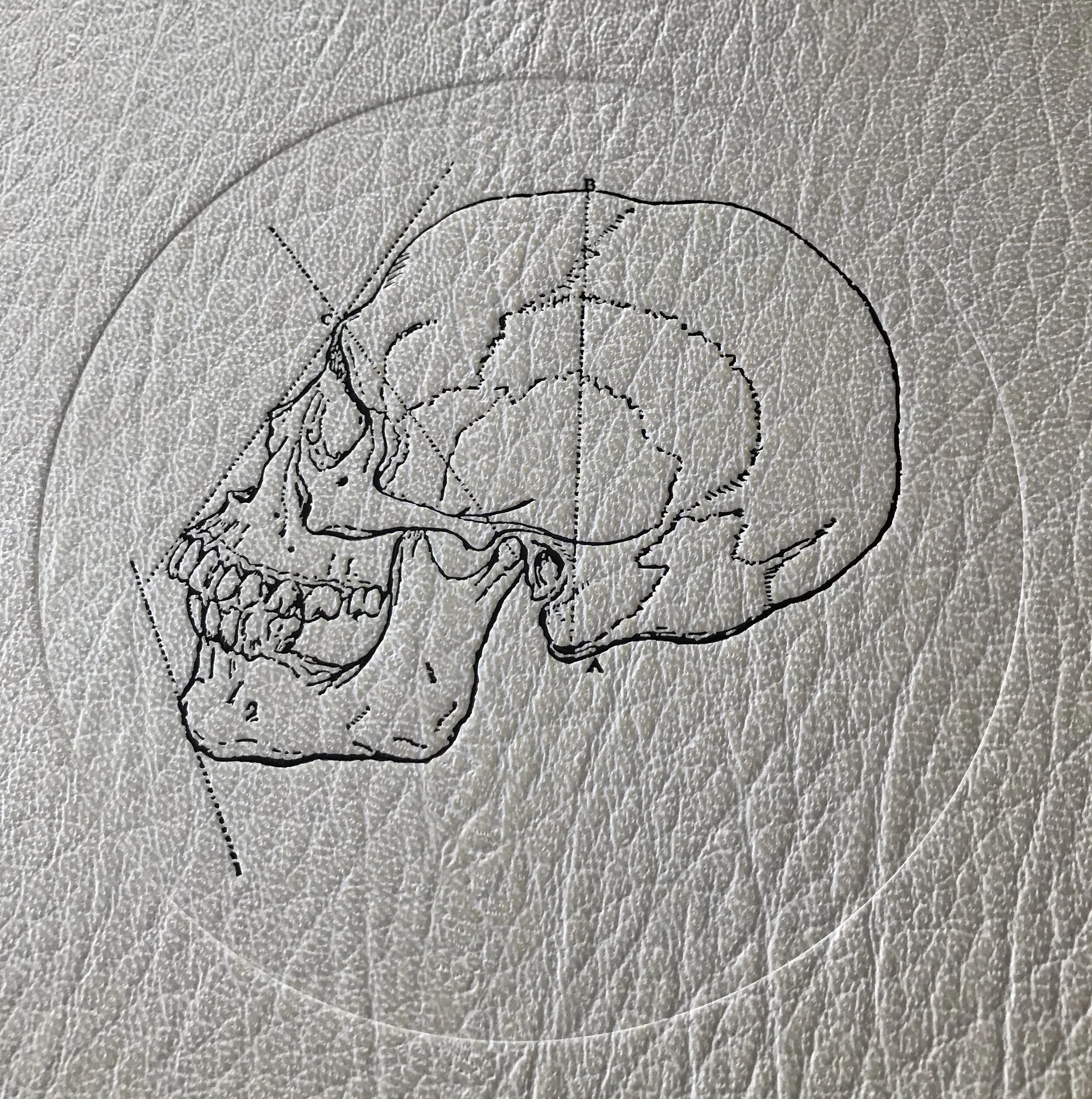 IMG_3332_detail skull.jpg