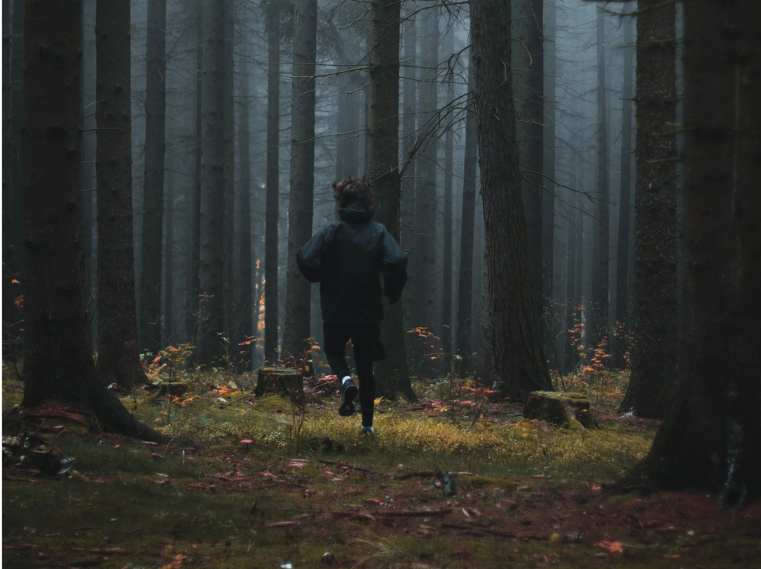 Forest bathing really is good for your health