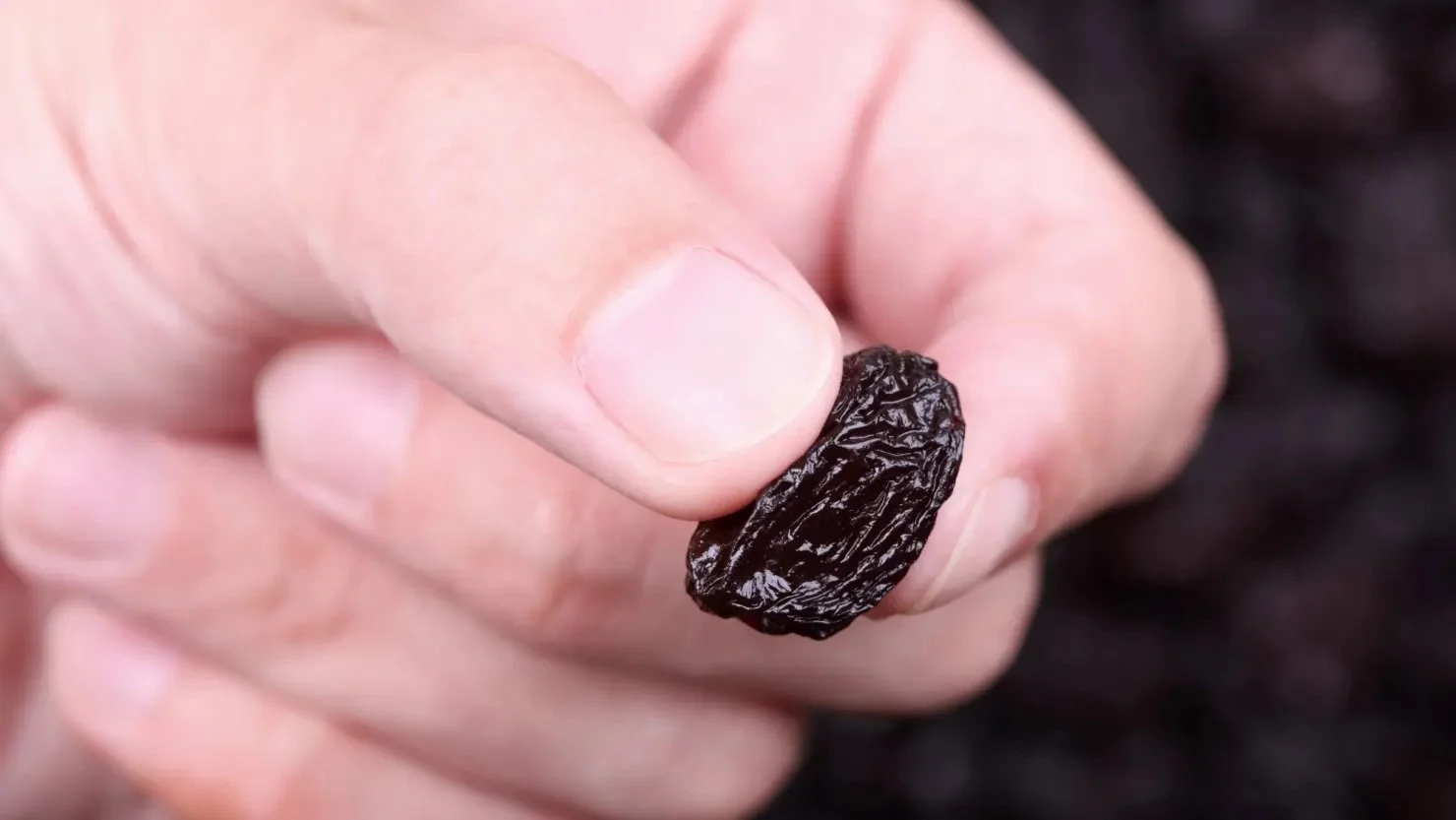 A simple daily meditation - the raisin exercise