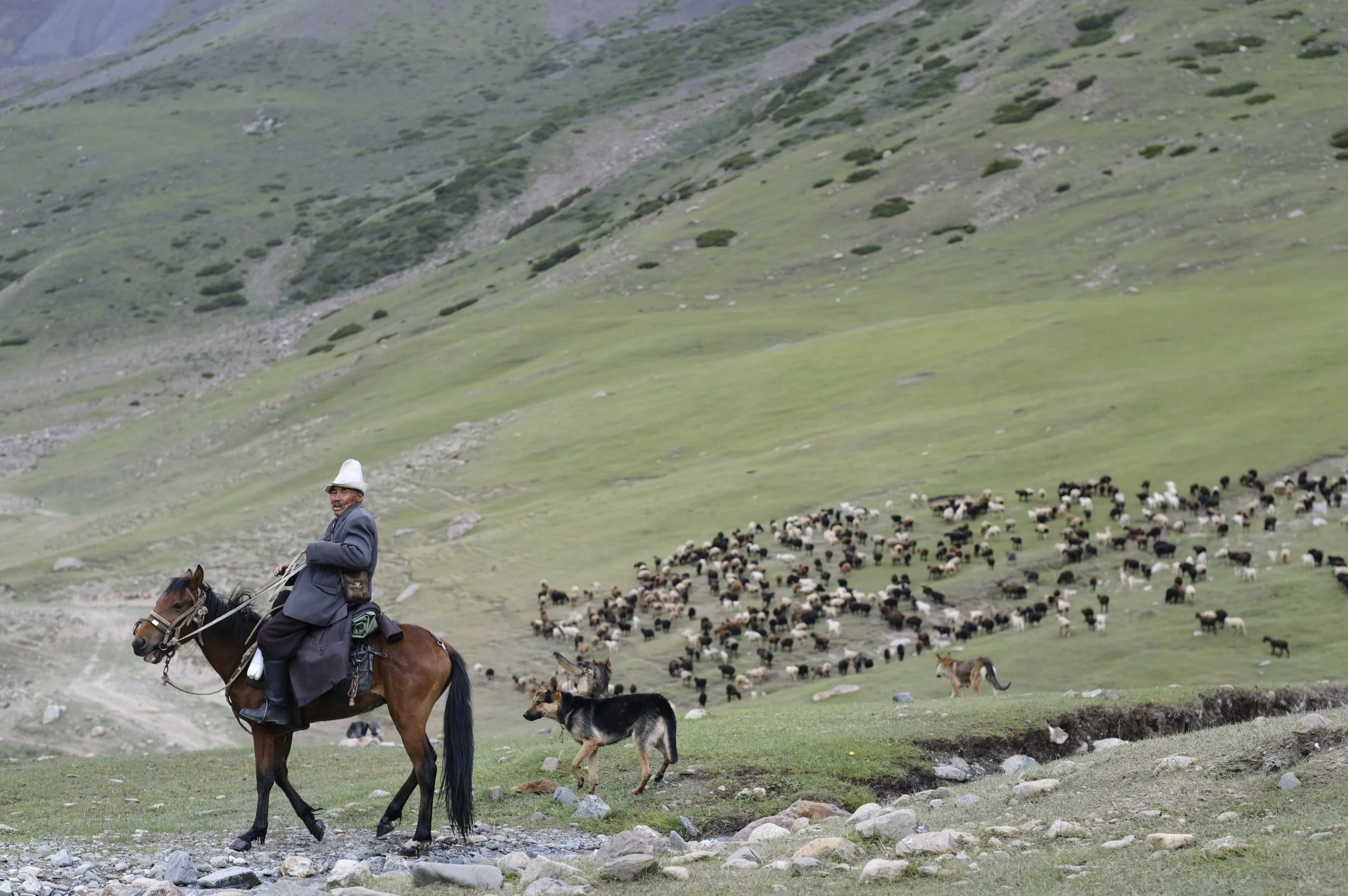 2018 Kyrg selects 20.JPG