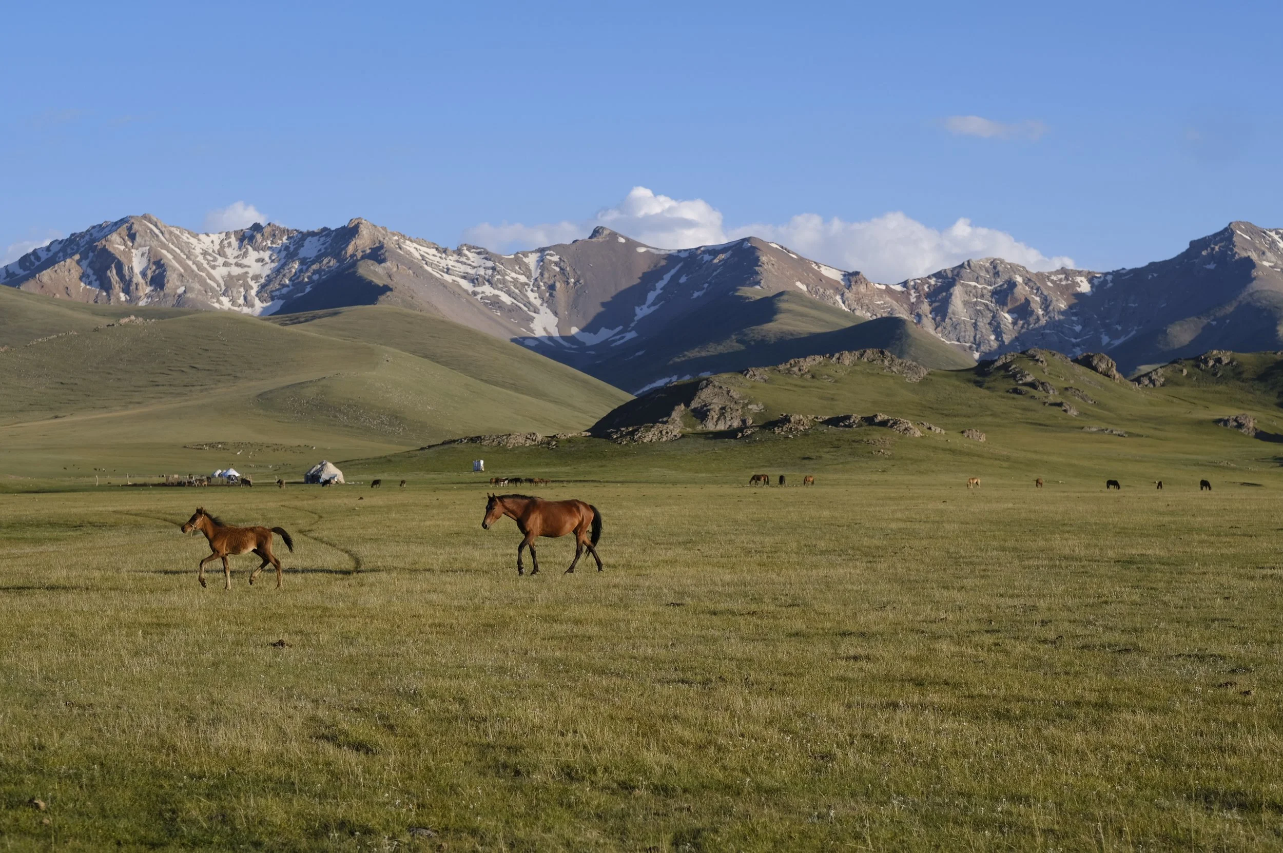 2018 Kyrg selects 101.JPG