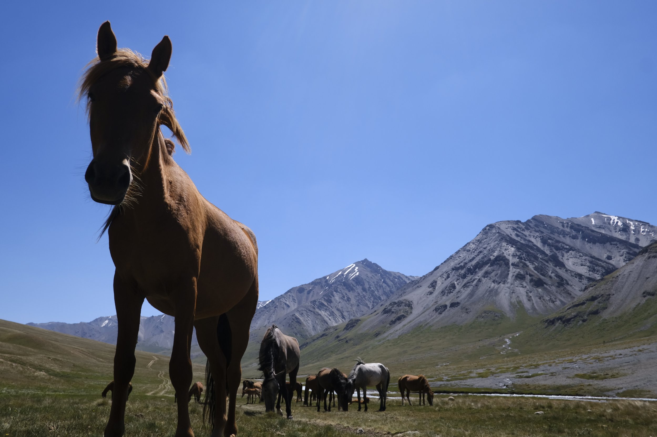 2018 Kyrg selects 46.JPG