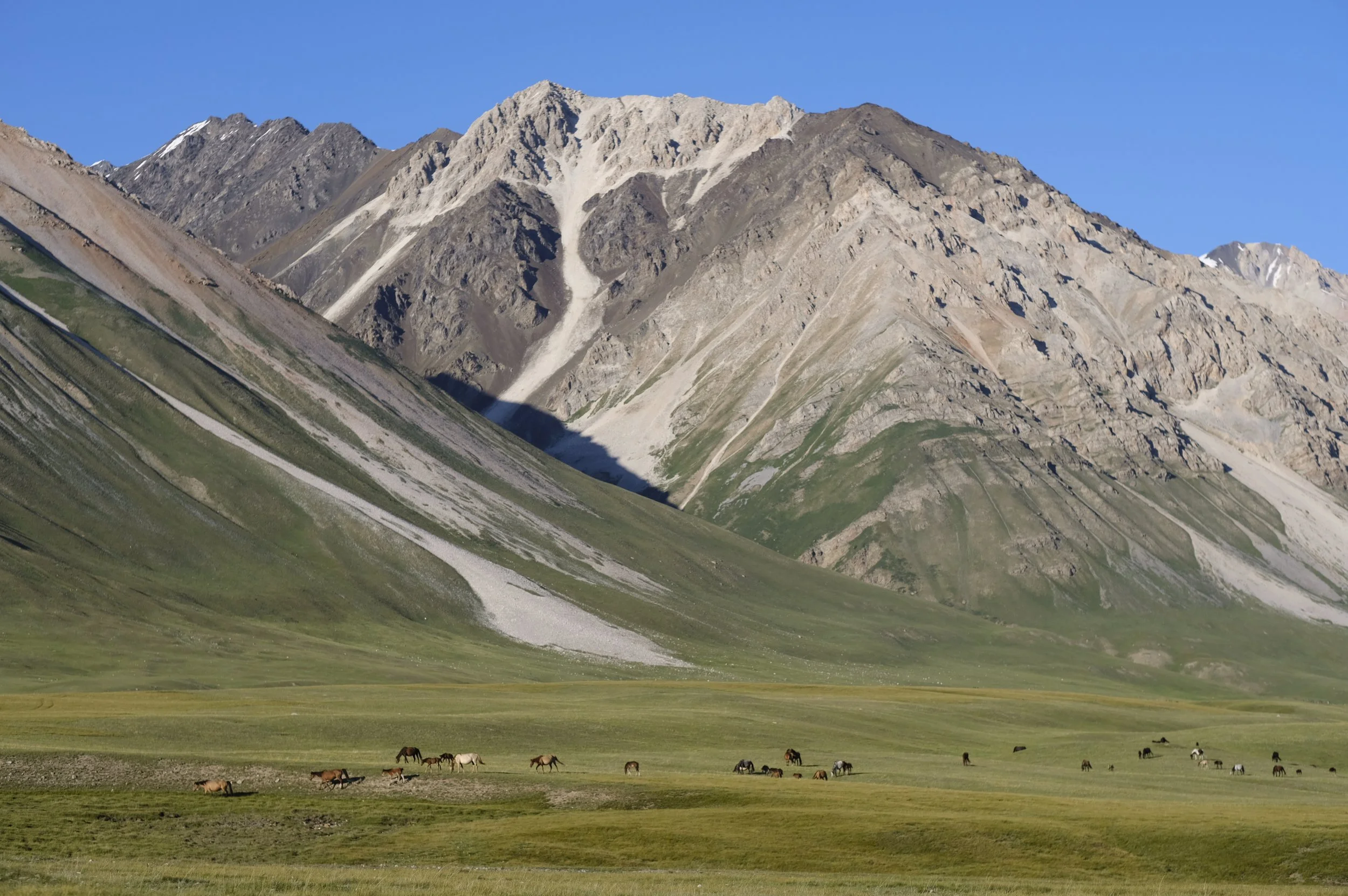 2018 Kyrg selects 61.JPG