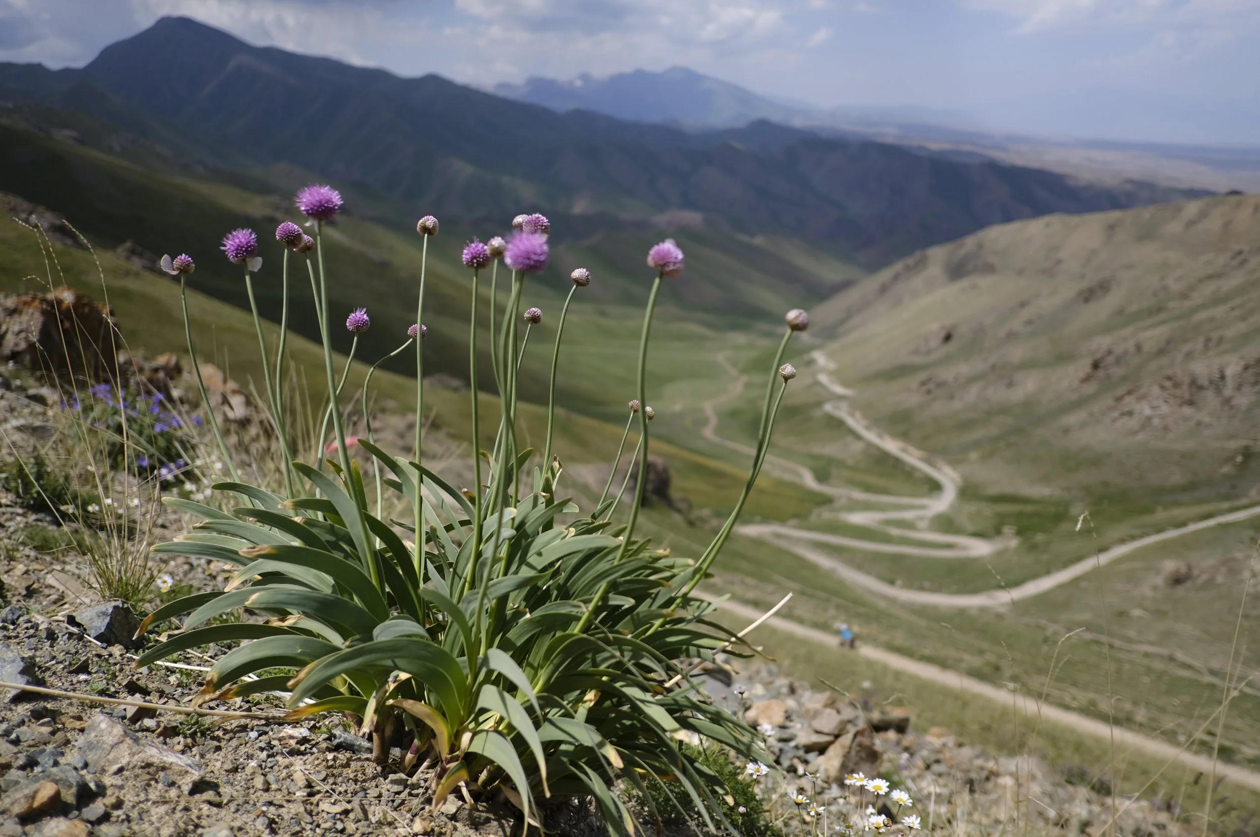 2018 Kyrg selects 109.JPG