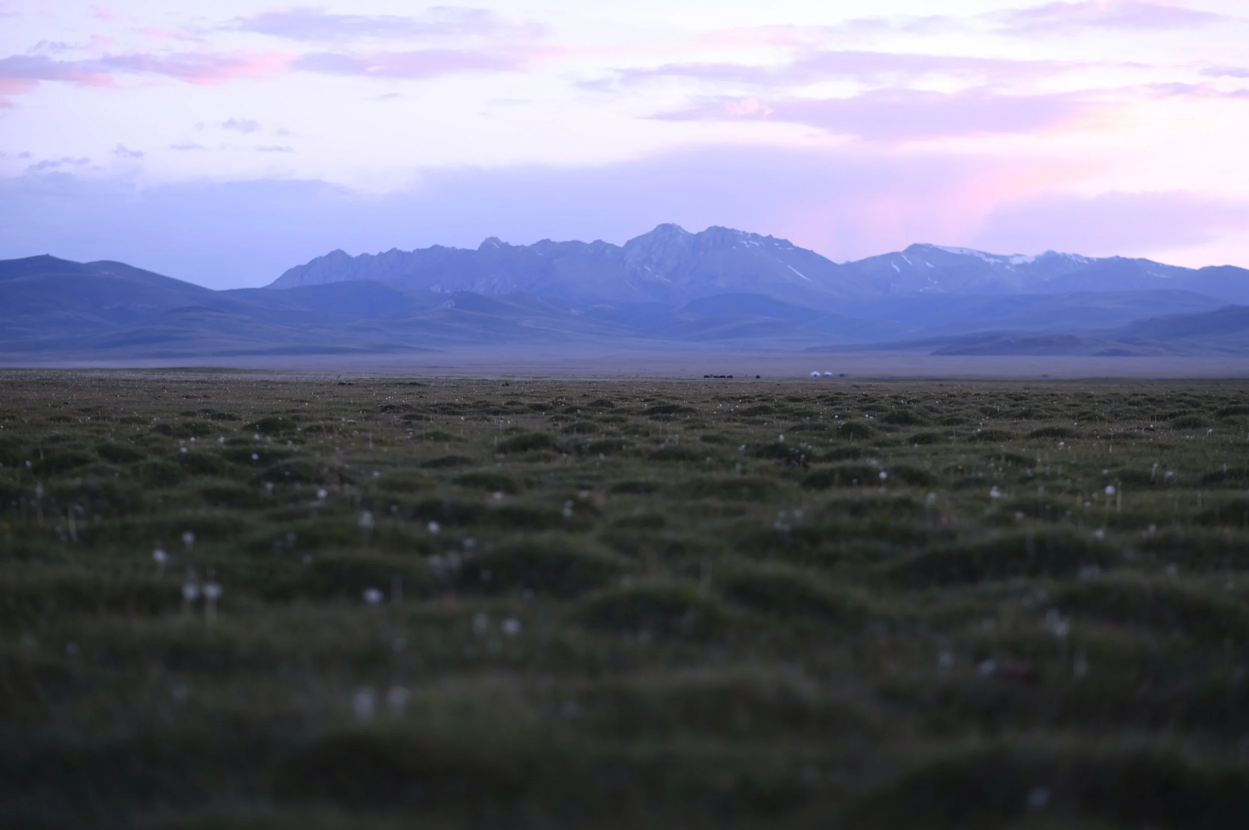 2018 Kyrg selects 108.JPG