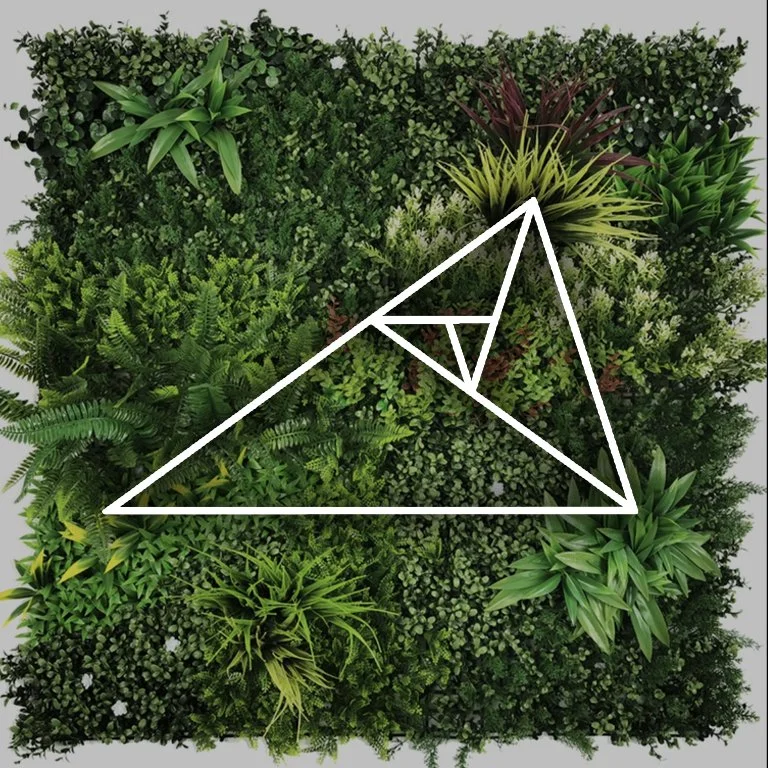 assemblage-meditations.jpg