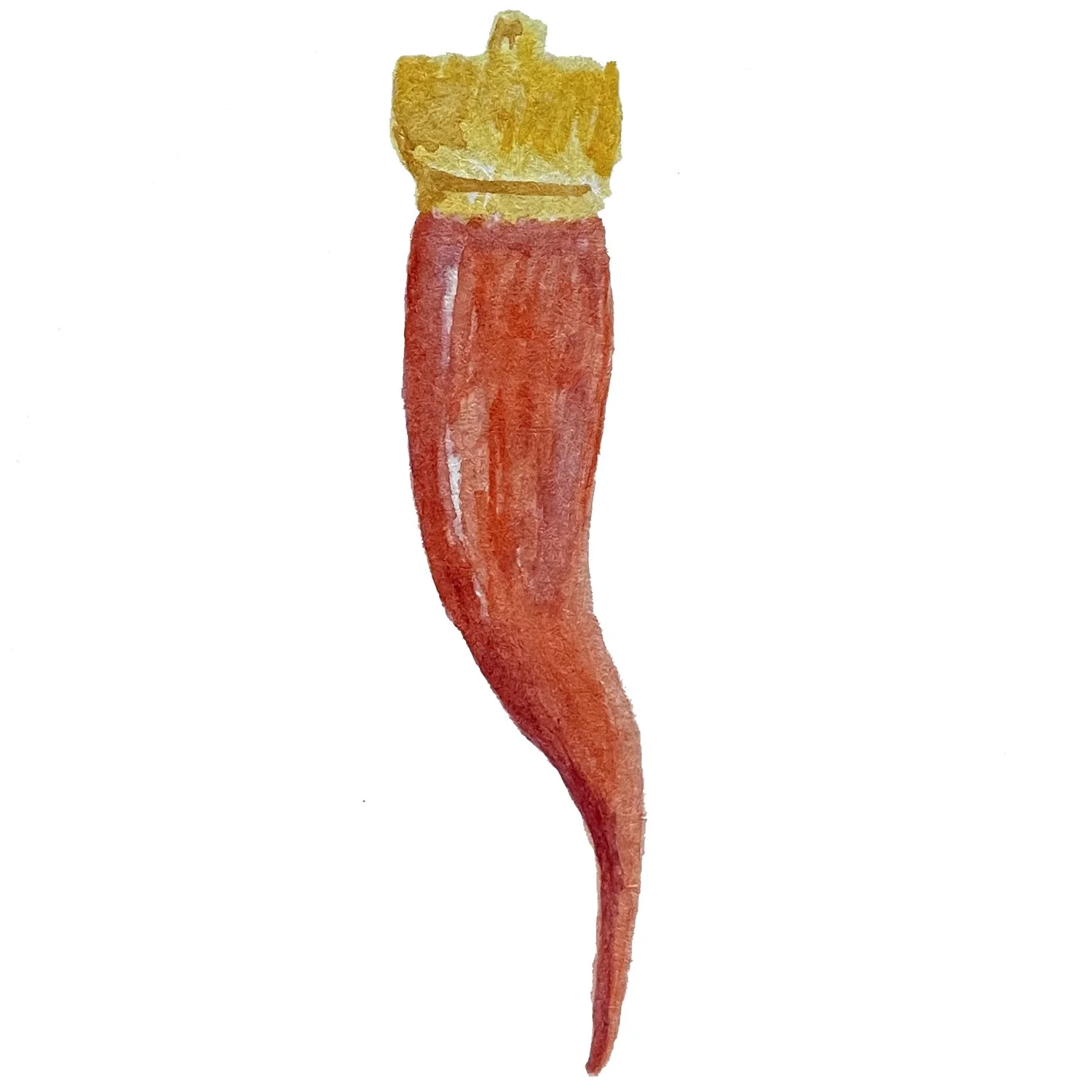 UNA PIZZA NAPOLETANA