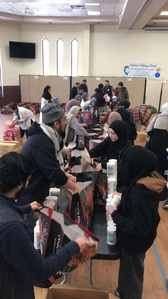 WhatsApp Image 2026-02-14 at 7.03.50 PM.jpeg