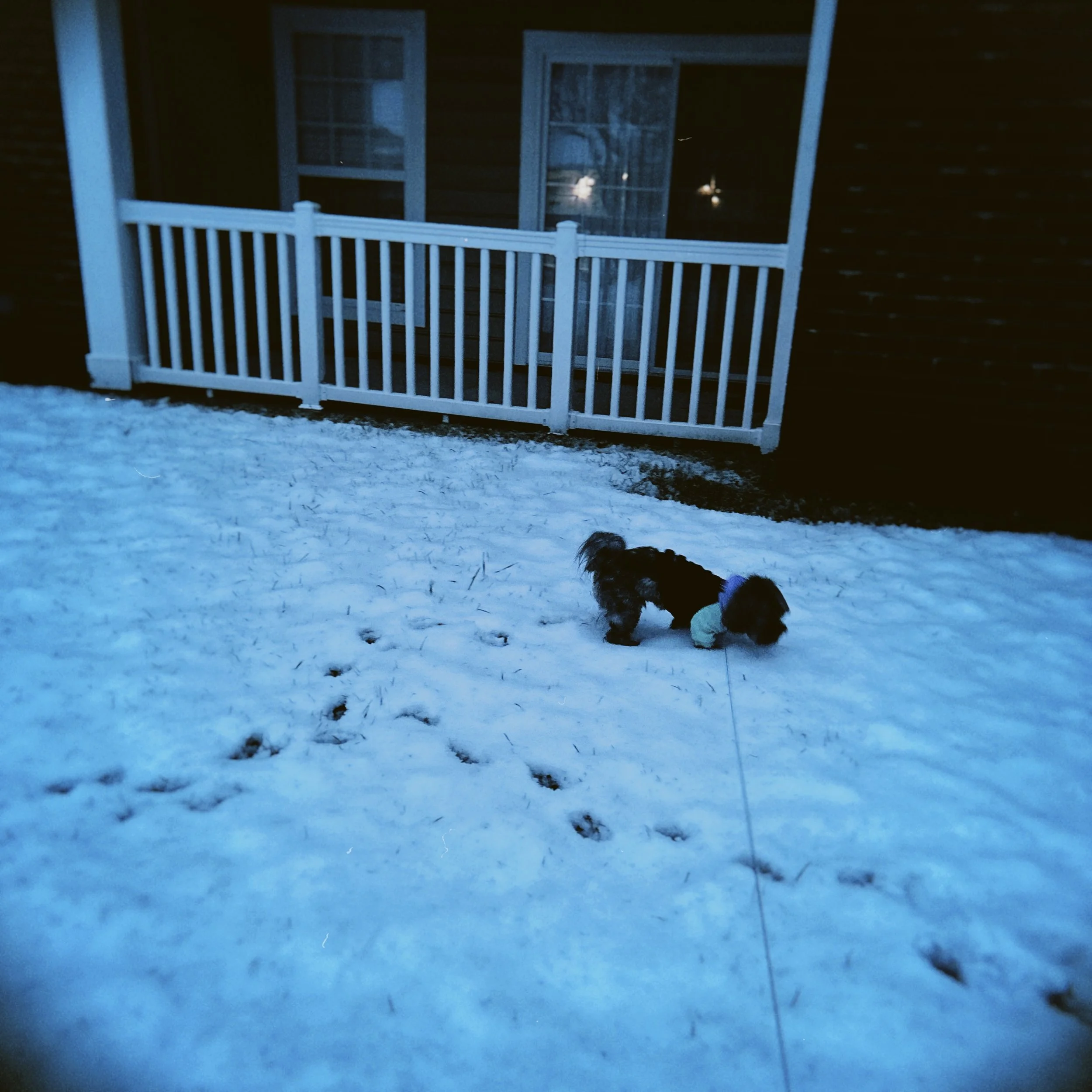 hoga 2025-01-06 071654.738.JPG