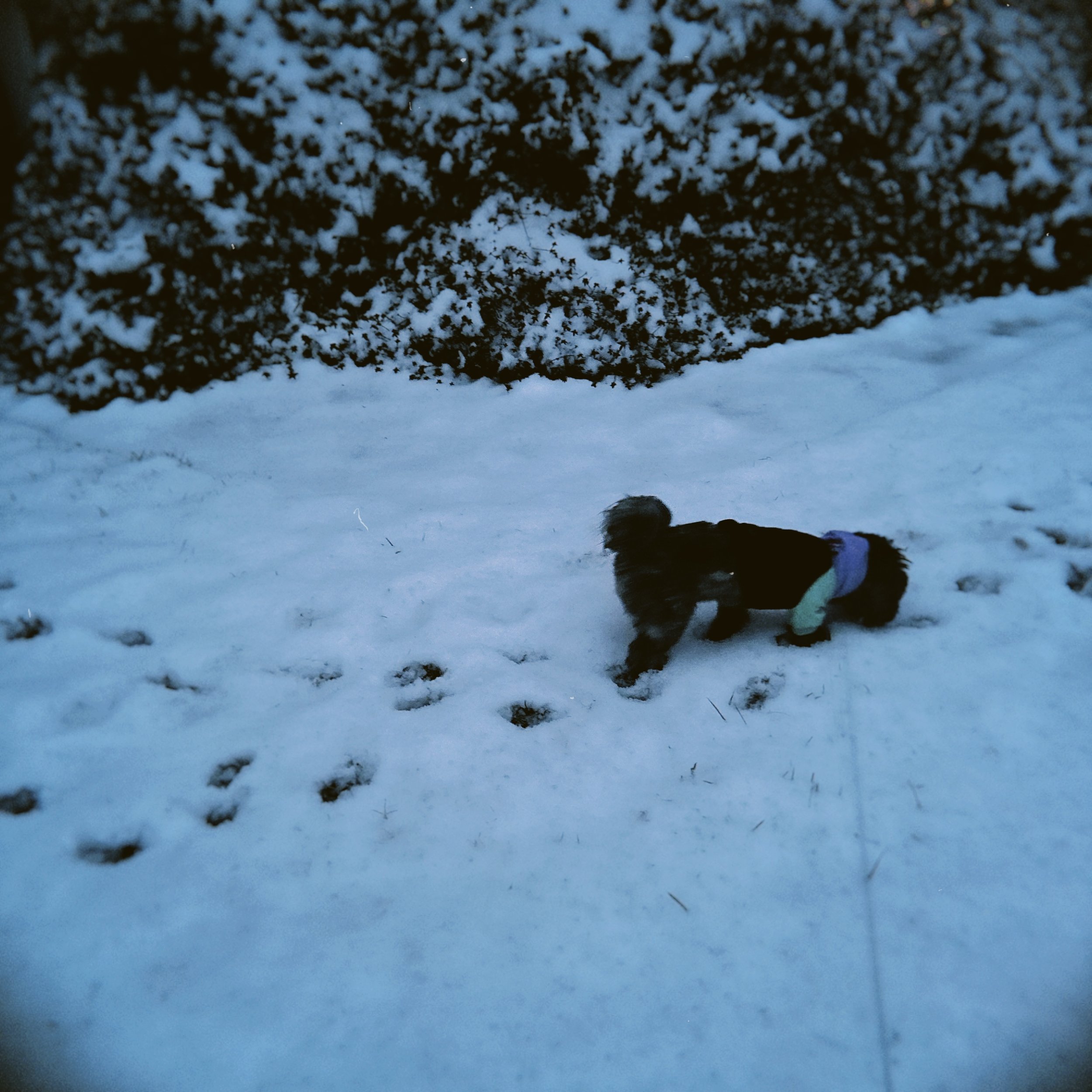 hoga 2025-01-06 071702.151.JPG