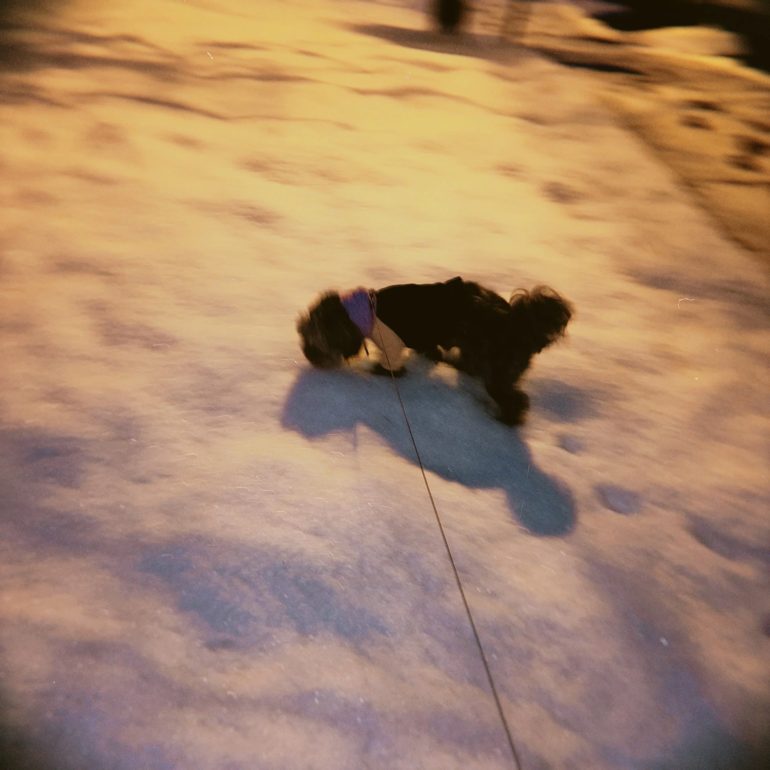 hoga 2025-01-06 071404.438.JPG