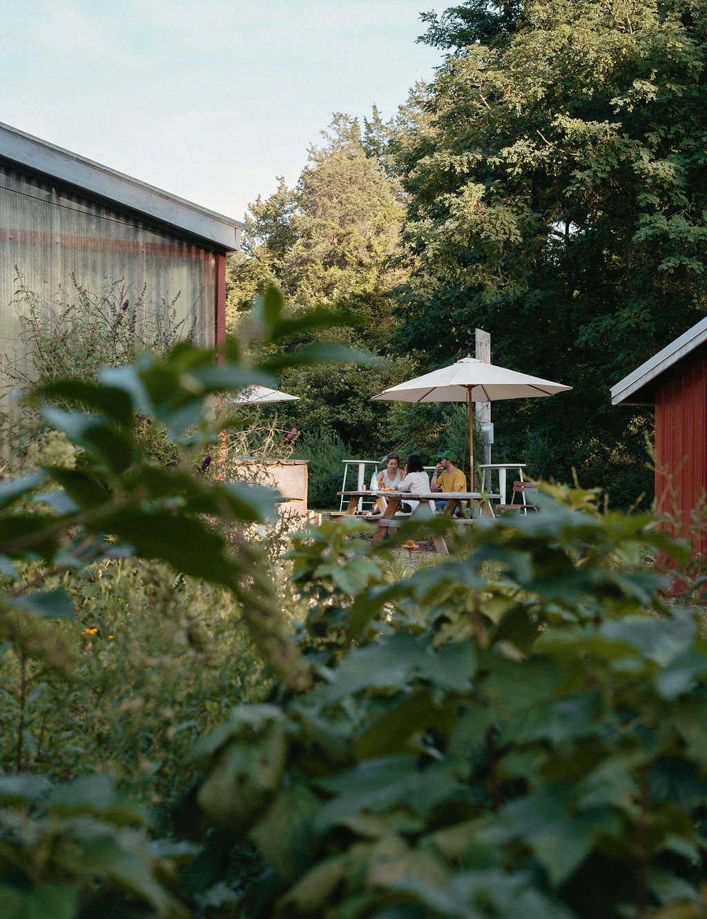 Tasting Room Open