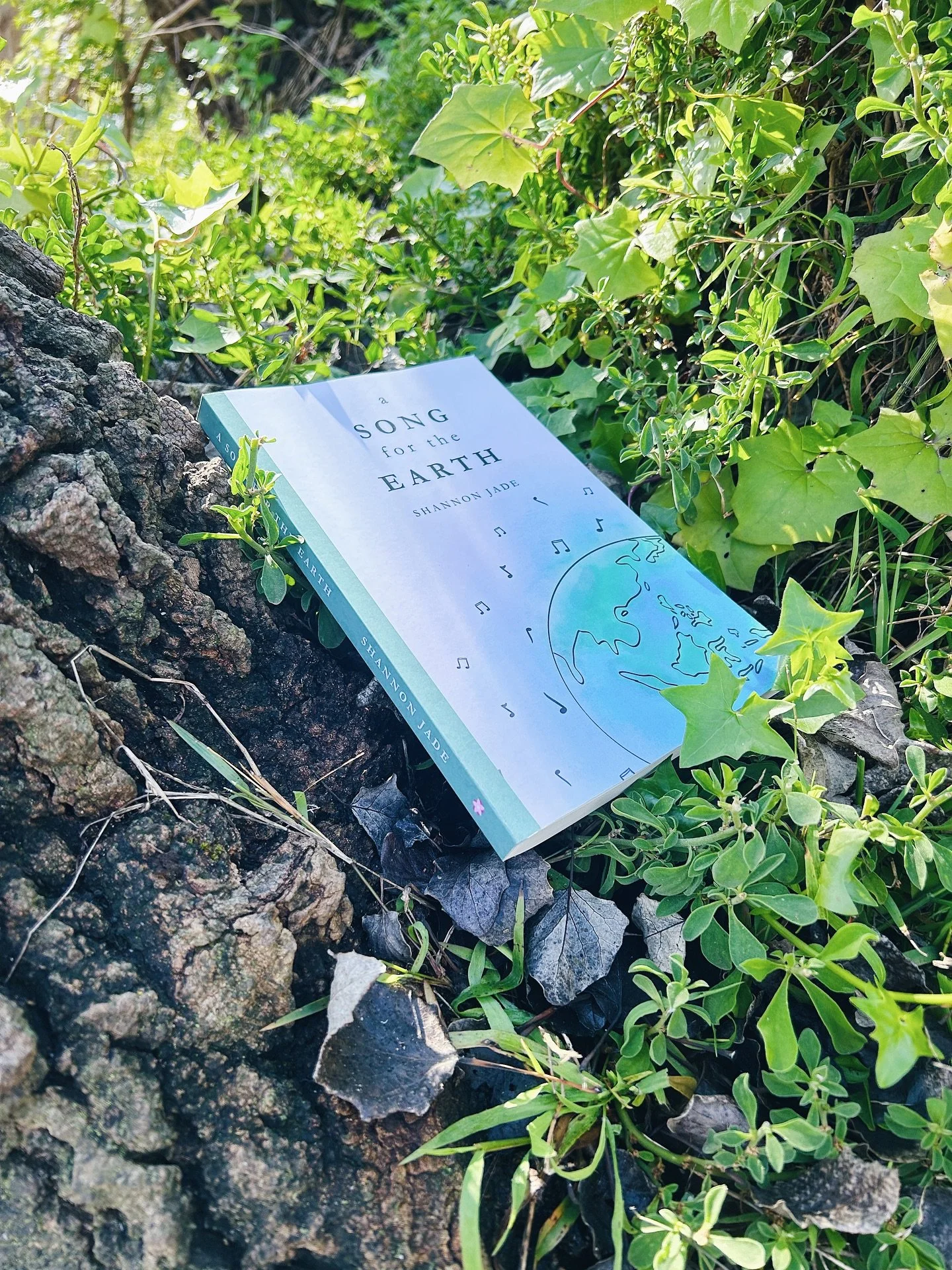 Celebrating three months of ‘A Song for the Earth’ by getting to work on a brand-new book, slated for publication in 2026 (hint: π»πΏπ)
This little book has achieved so much more than I could ever have hoped it would. Thank you so very