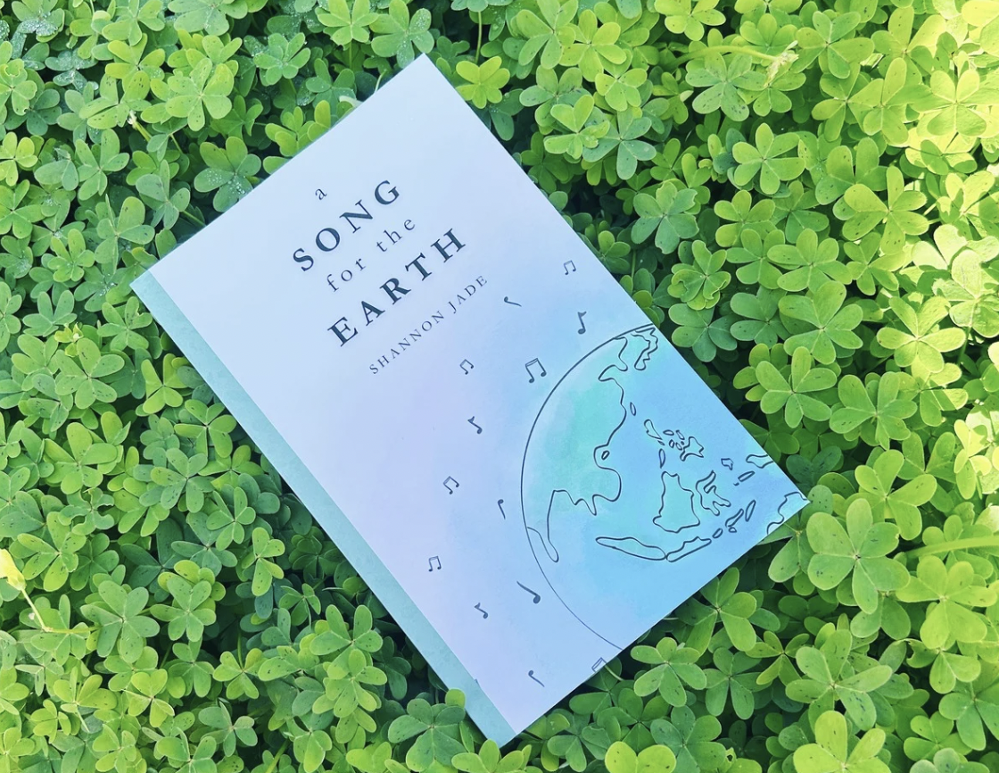 When a Sentence is a Poem: Lyrical Novels Meet Climate Fiction - Dr Krista Hiser