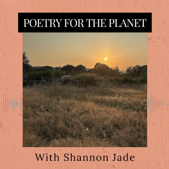 Poetry for the Planet Interview