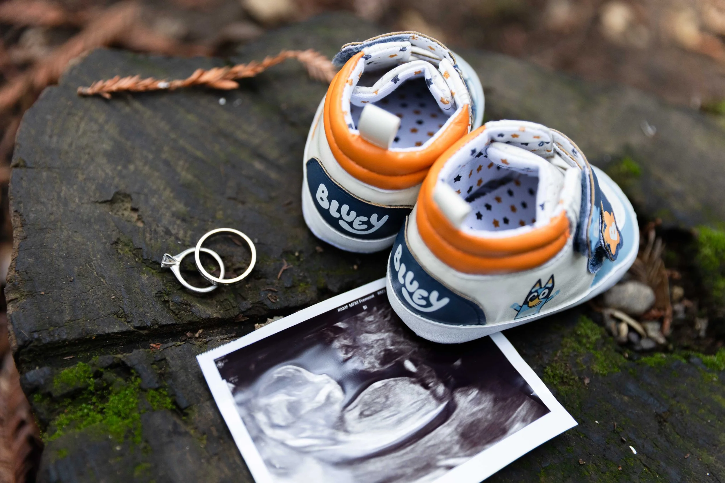 Vaibhav and Shriya (11 of 11).jpg