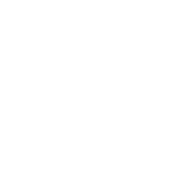 flutter (2).png
